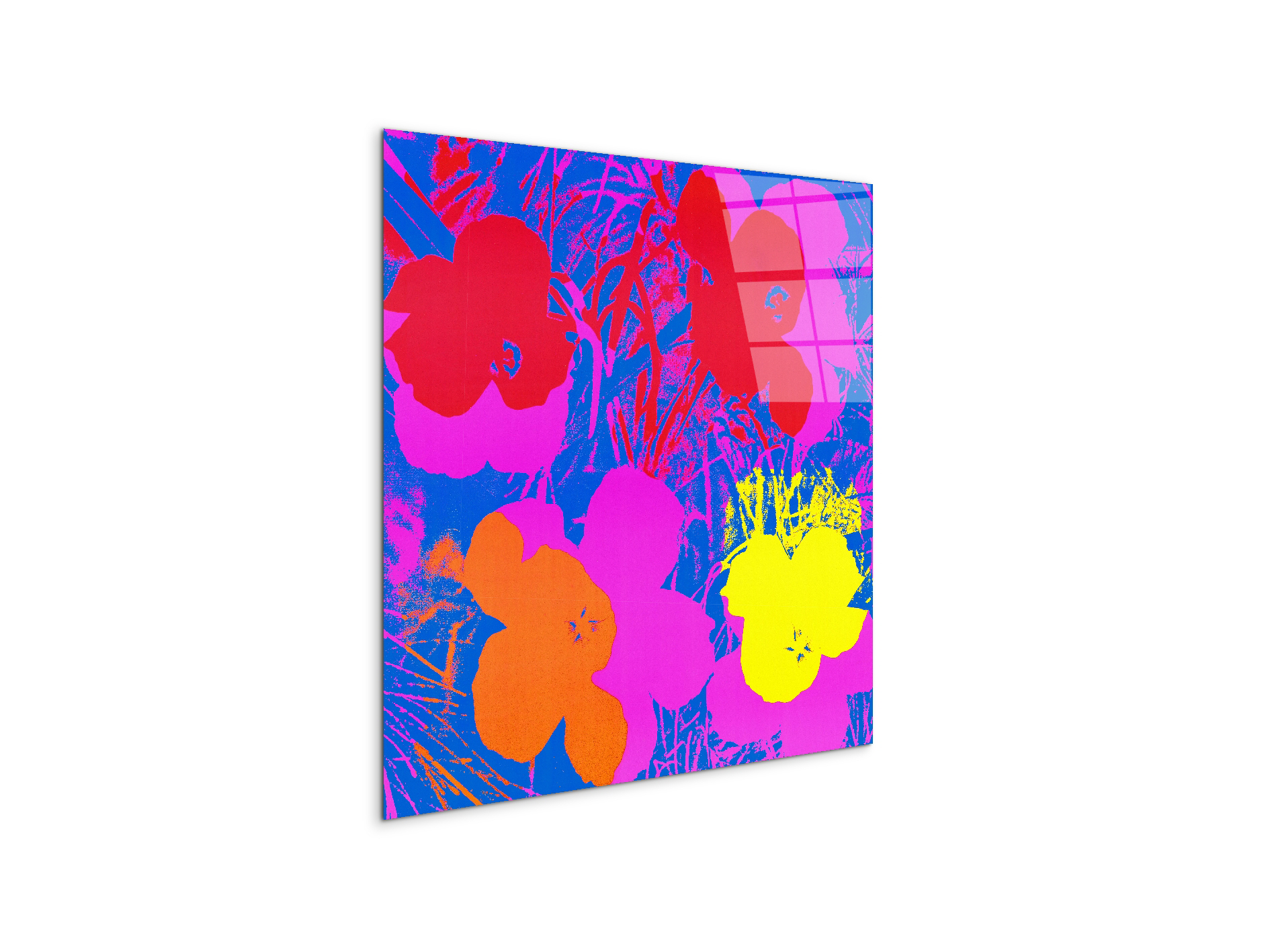 homage-to-andy-flowers-1970ec22033-