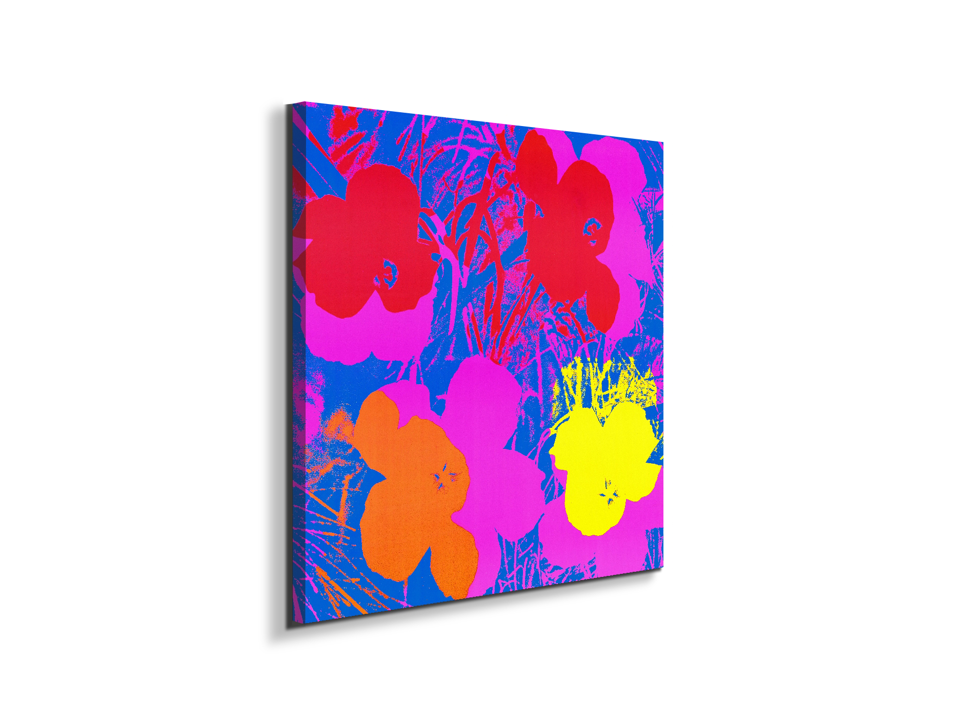 homage-to-andy-flowers-1970ec22033-