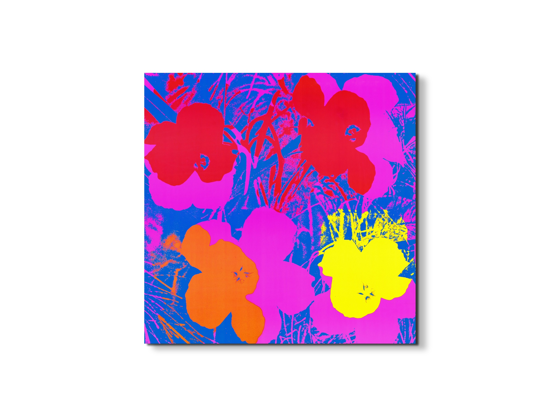homage-to-andy-flowers-1970ec22033-
