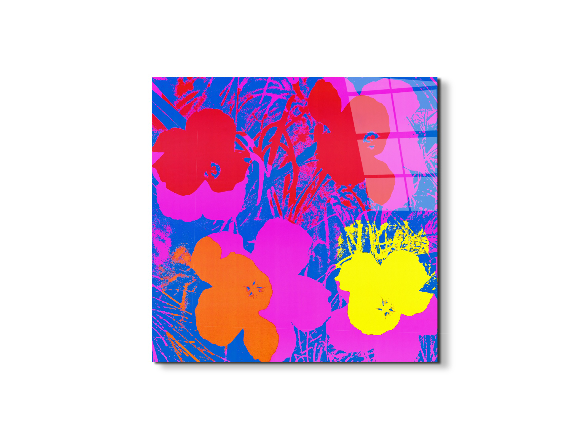 homage-to-andy-flowers-1970ec22033-