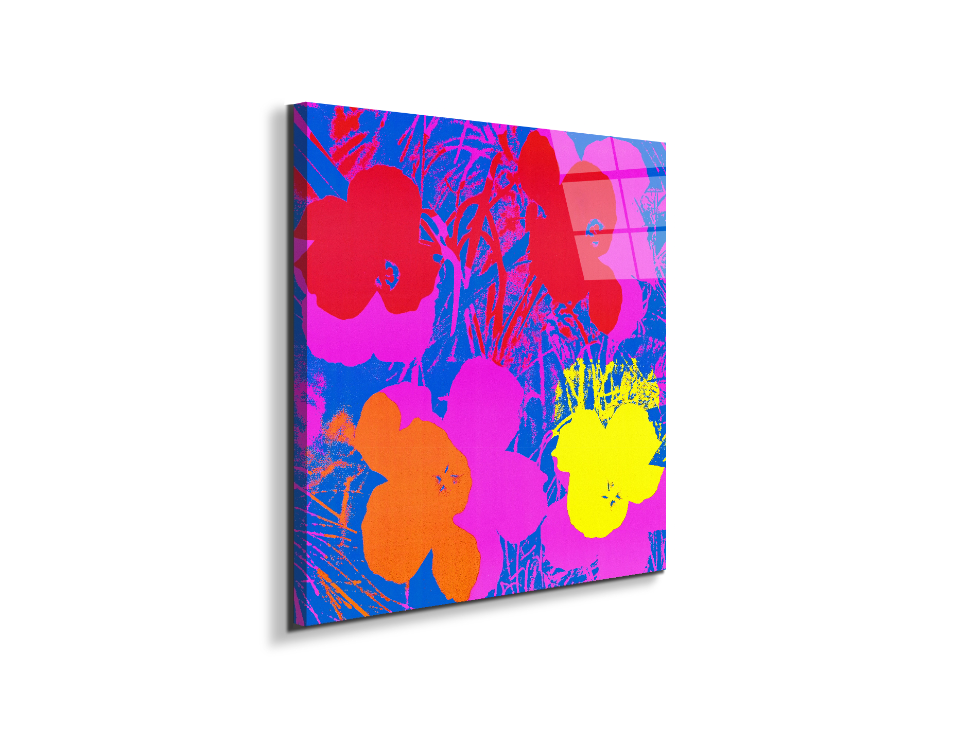 homage-to-andy-flowers-1970ec22033-