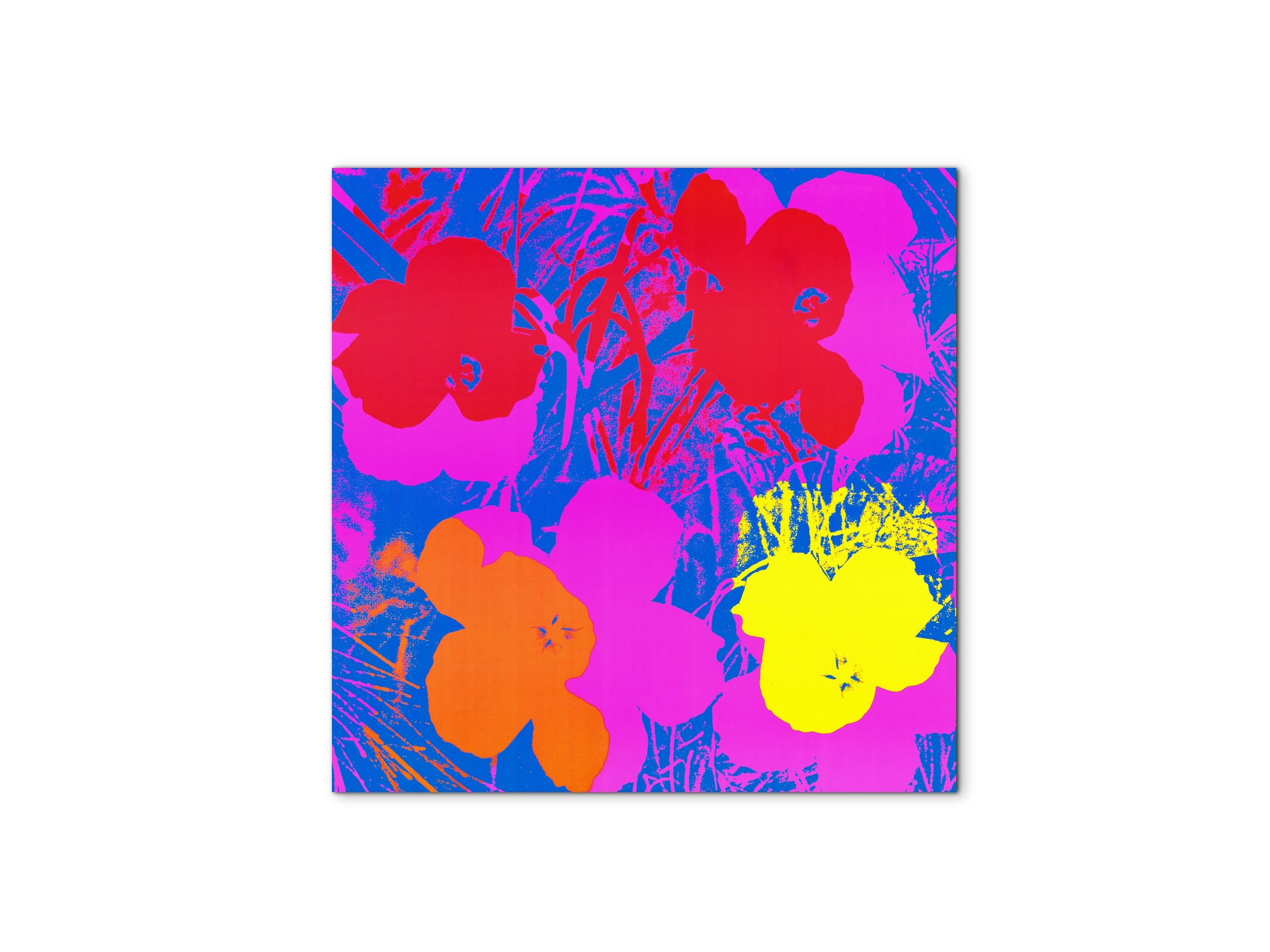 homage-to-andy-flowers-1970ec22033-