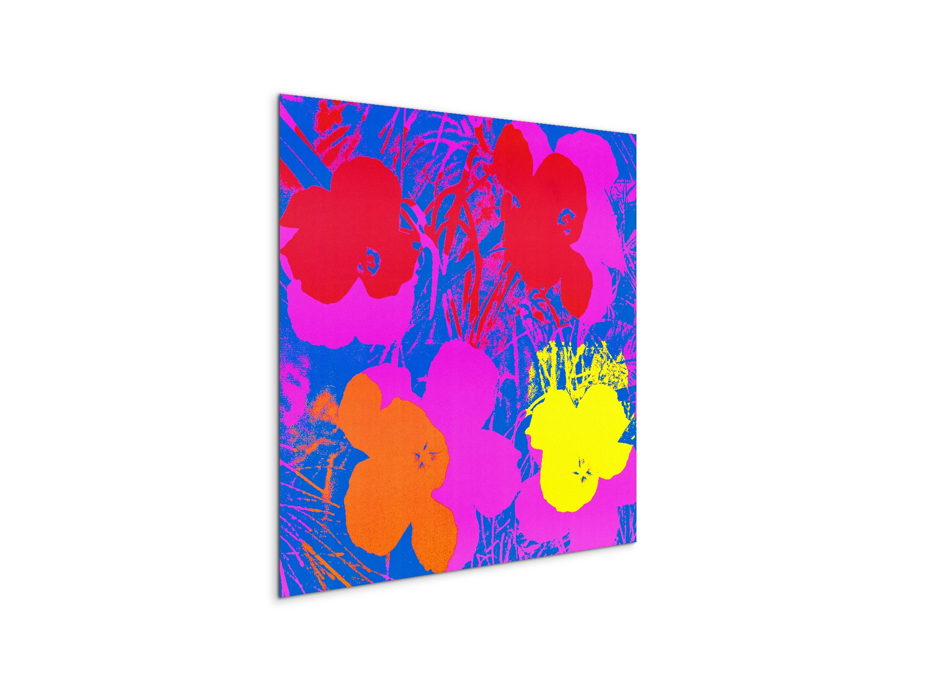 homage-to-andy-flowers-1970ec22033-