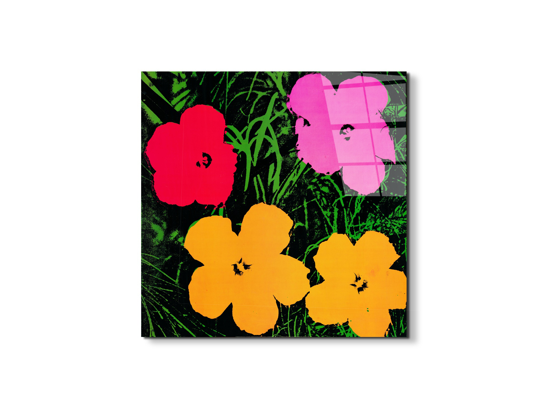 homage-to-andy-flowers-1964ec22034-