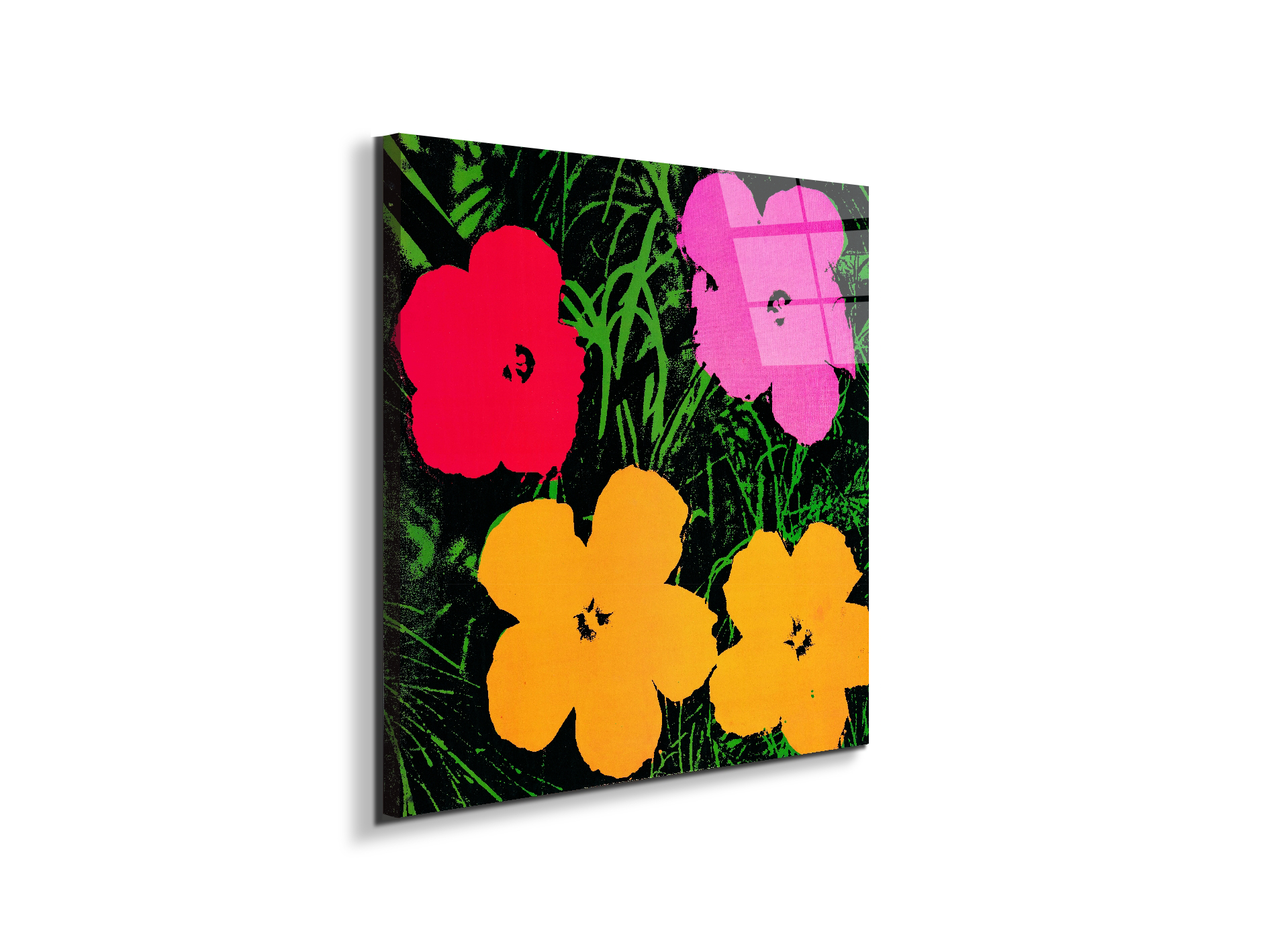 homage-to-andy-flowers-1964ec22034-