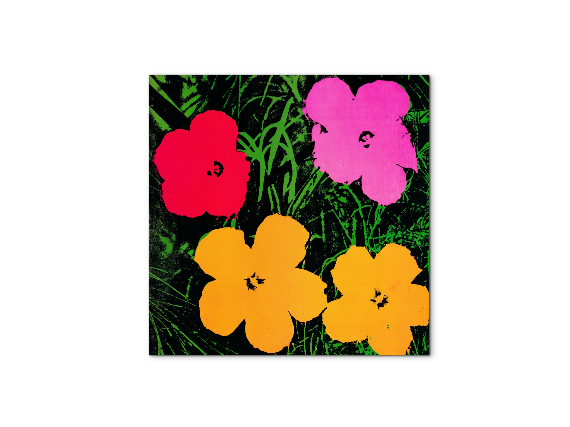homage-to-andy-flowers-1964ec22034-