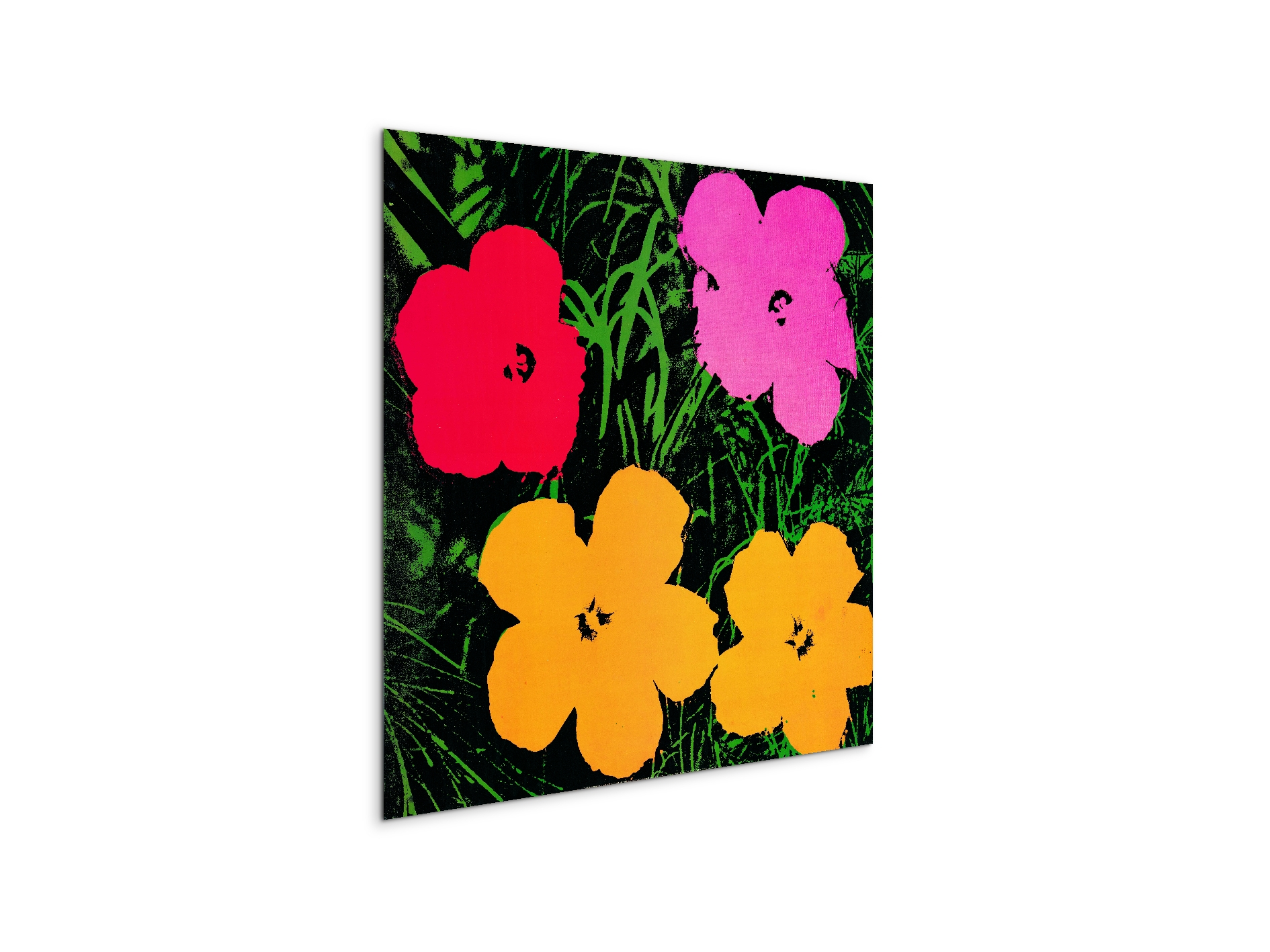 homage-to-andy-flowers-1964ec22034-