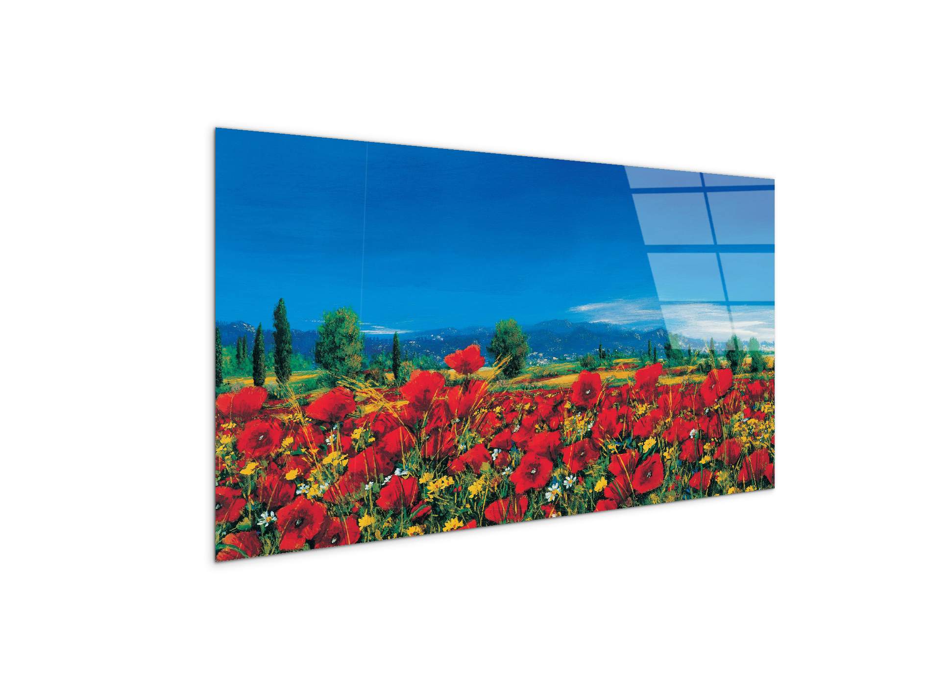red-poppies-iiiec22063-
