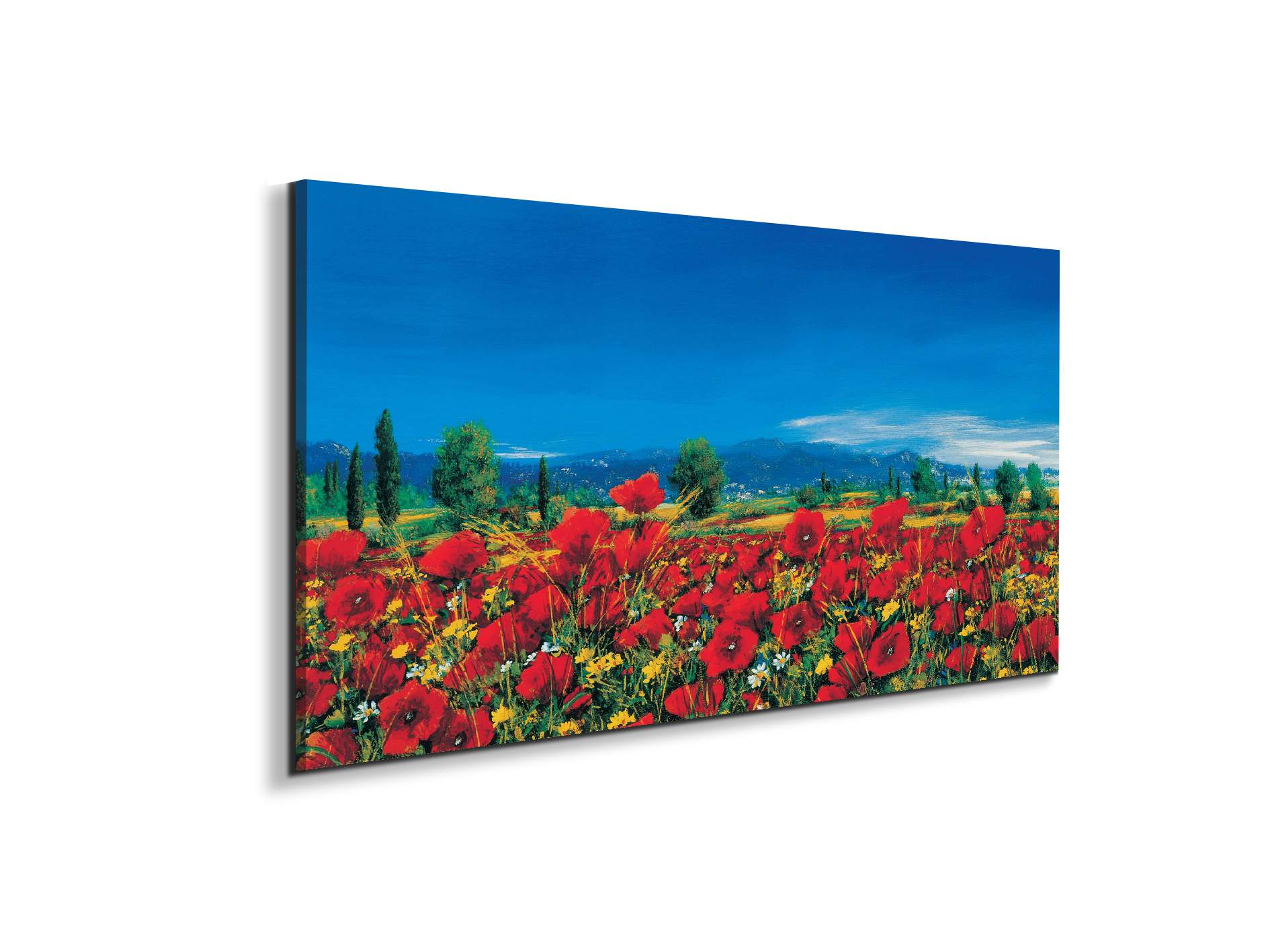 red-poppies-iiiec22063-