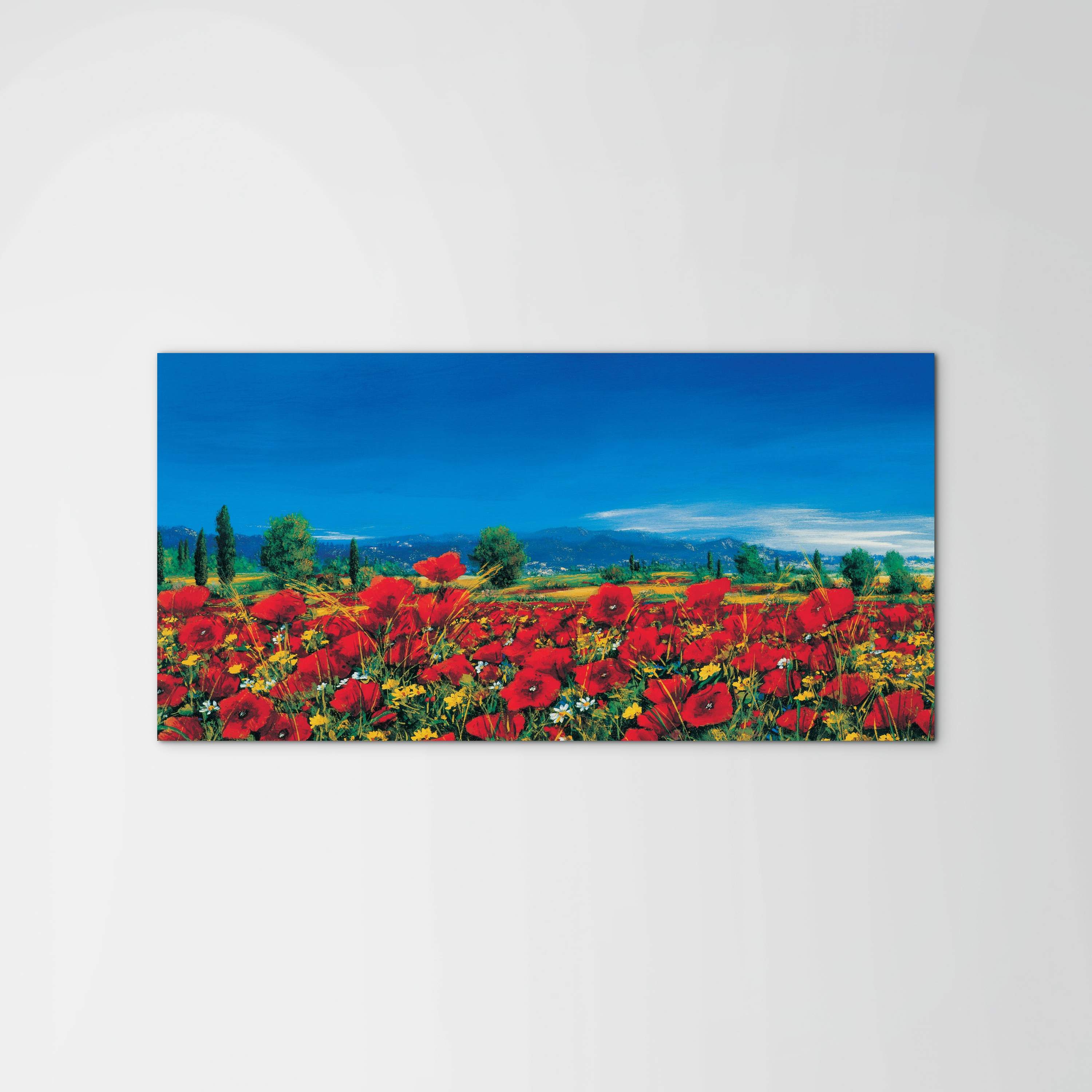 red-poppies-iiiec22063-