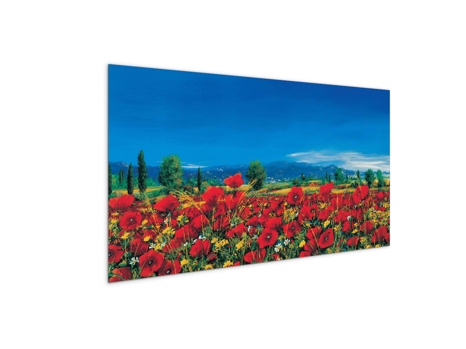 red-poppies-iiiec22063-