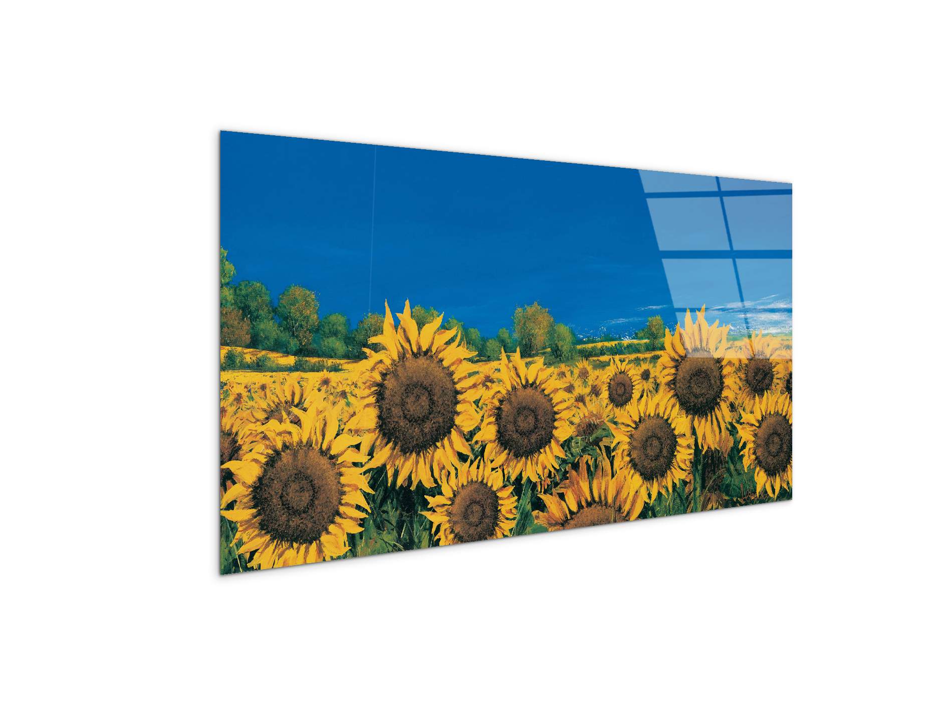 sunflowers-iec22064-