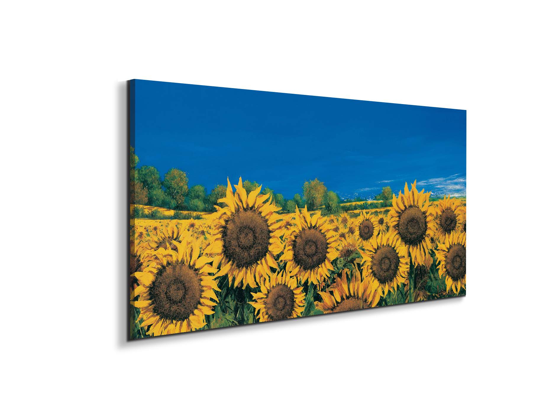 sunflowers-iec22064-