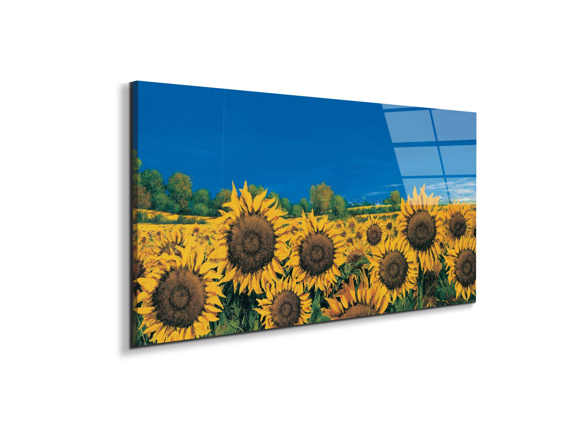 sunflowers-iec22064-