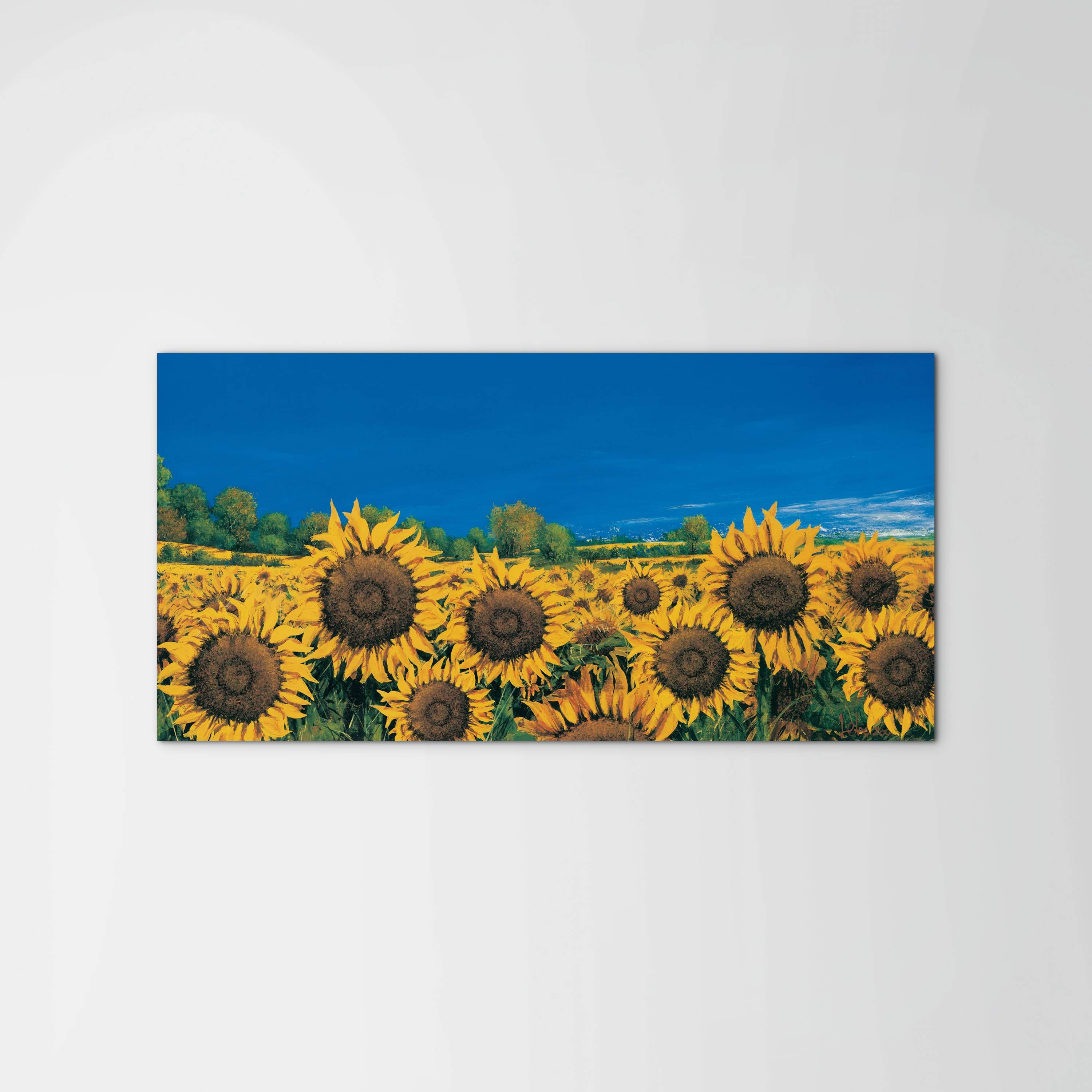 sunflowers-iec22064-