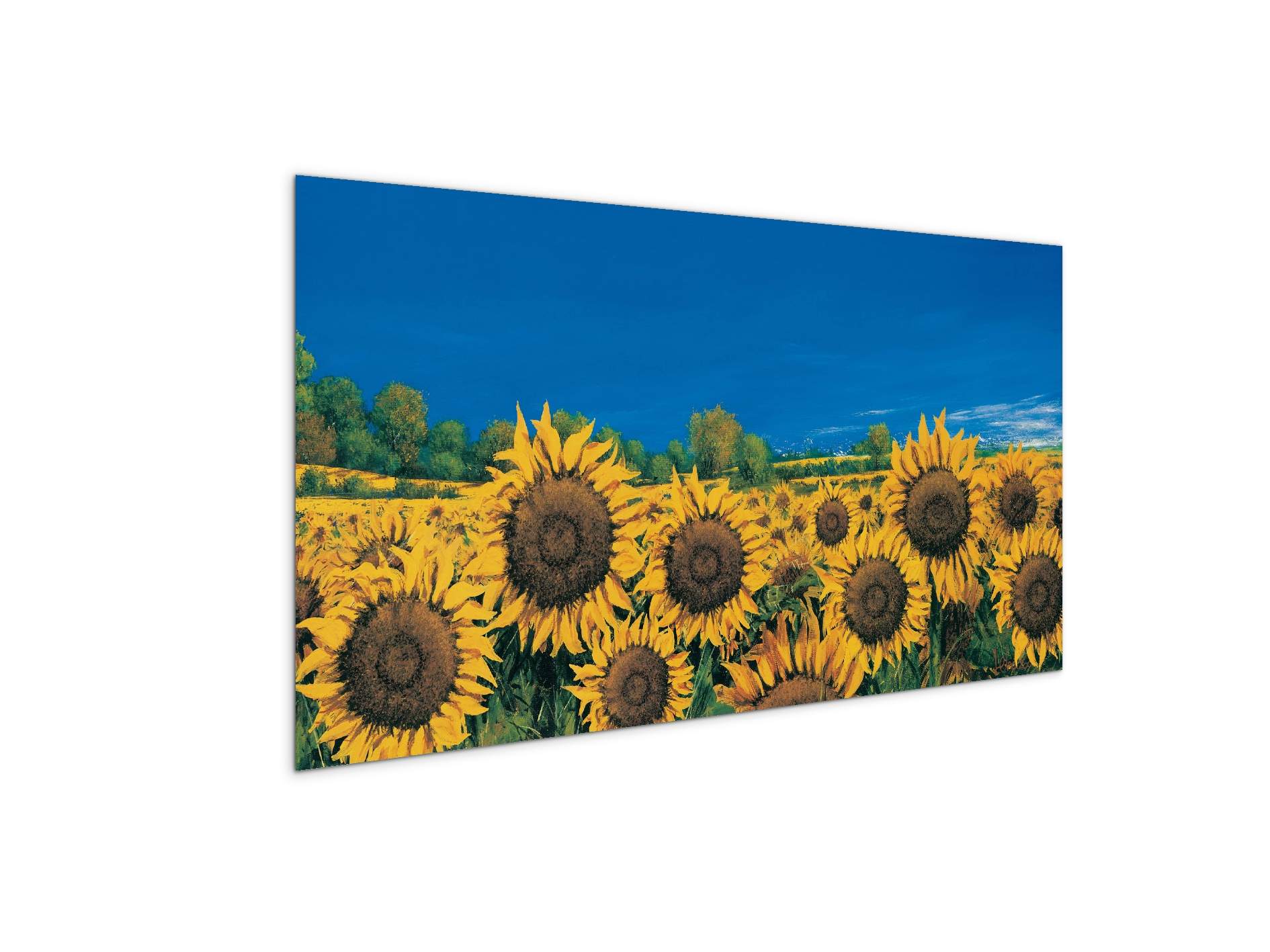 sunflowers-iec22064-