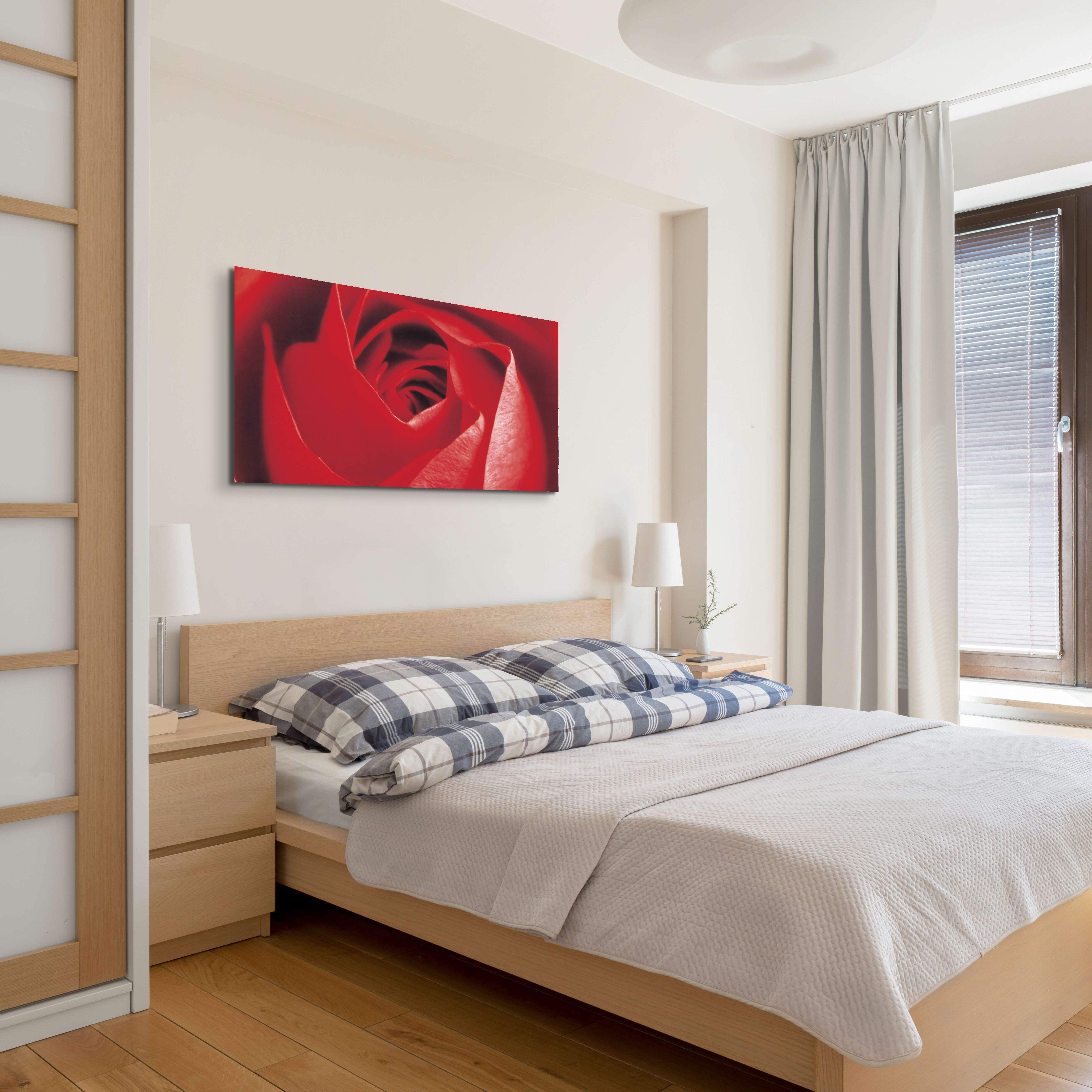 red-roseec22100-