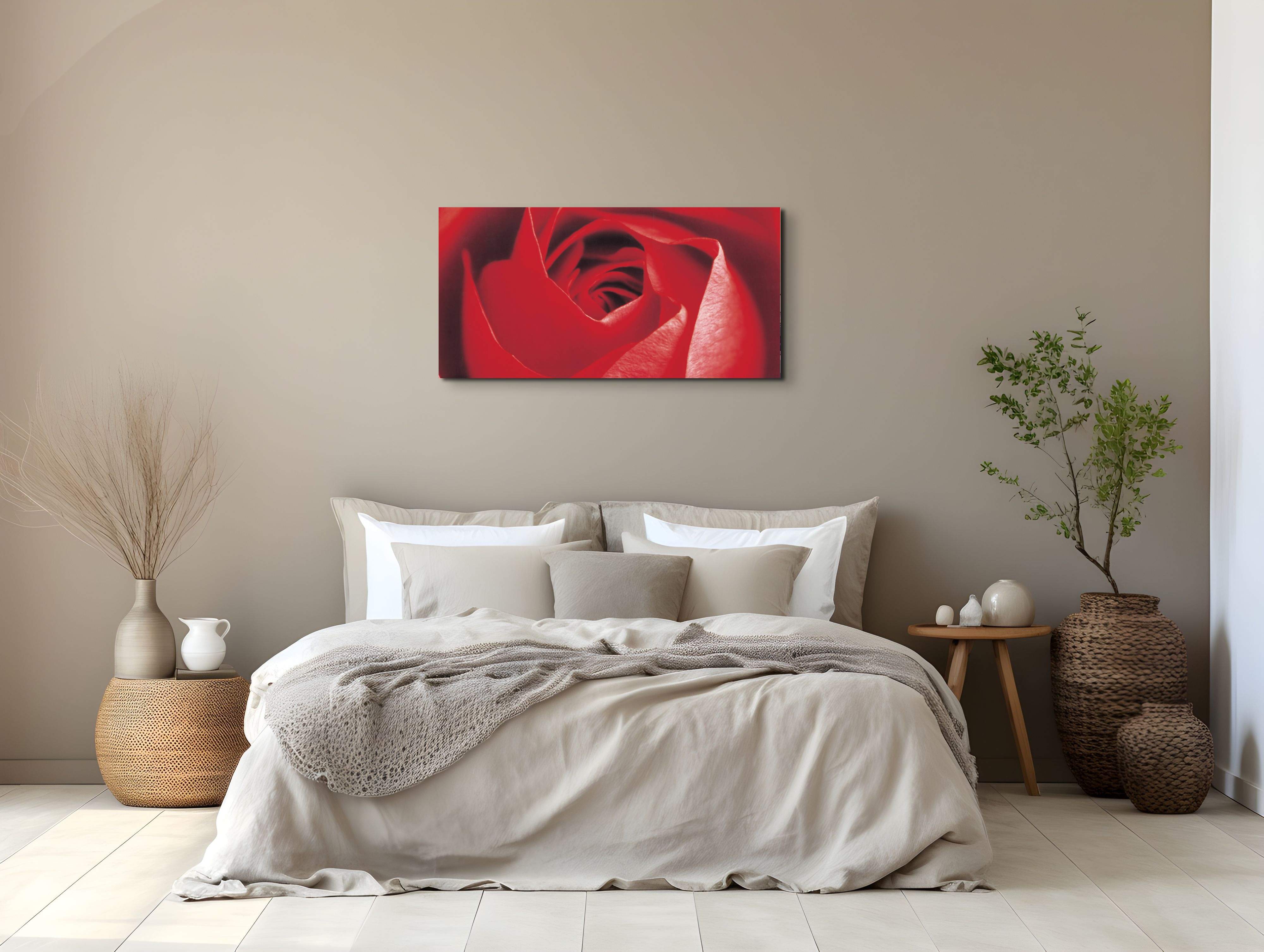 red-roseec22100-