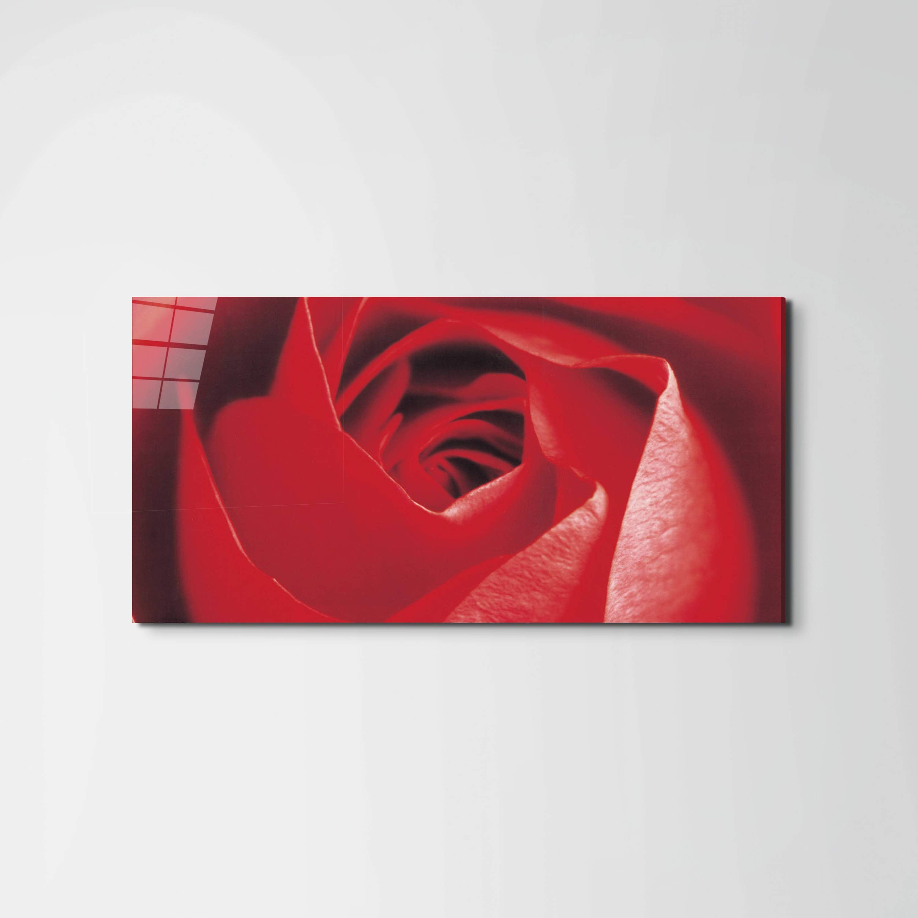 red-roseec22100-