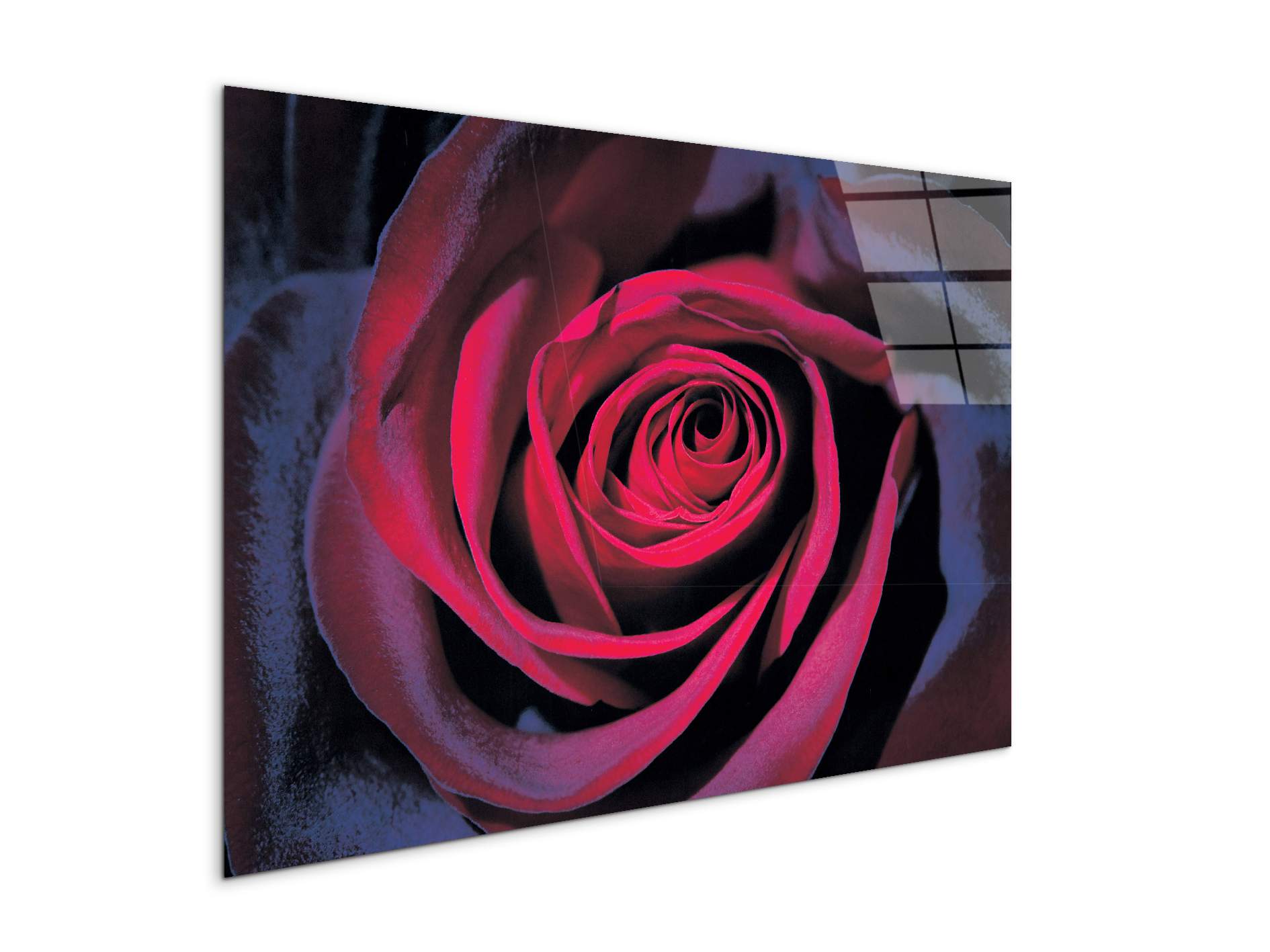 purple-roseec22106-#materiale_CrystalArt/dimensioni_79,5x53