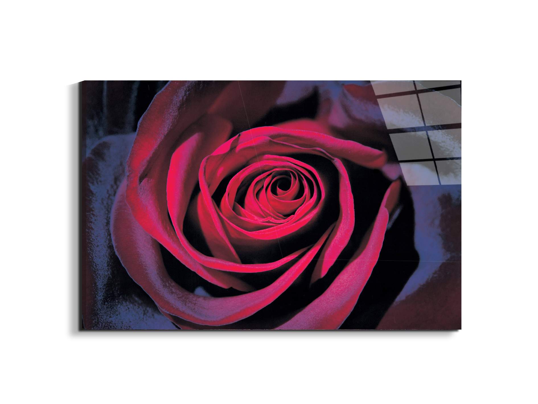 purple-roseec22106-#materiale_EarthArt Total Gloss/dimensioni_79,5x53