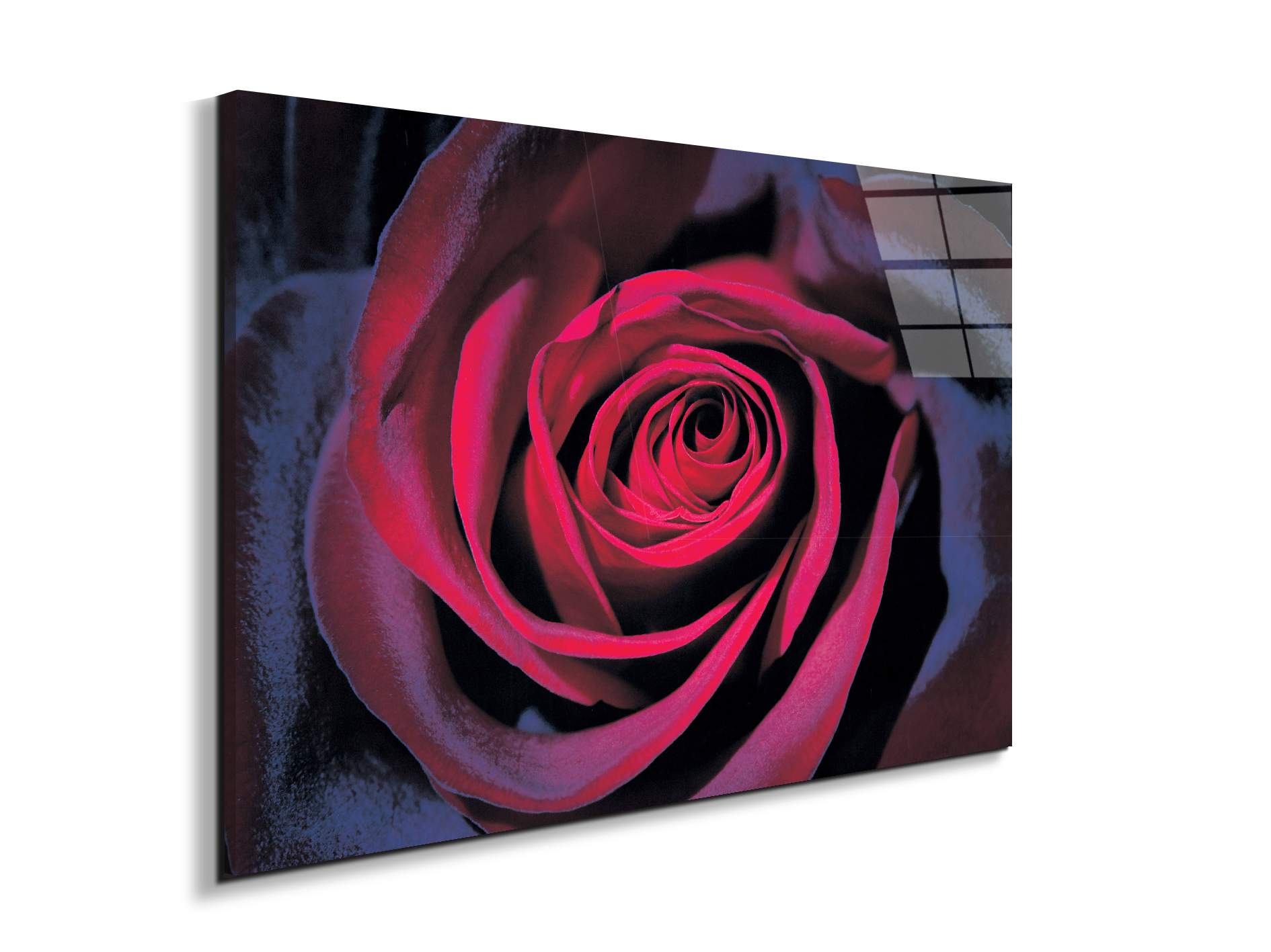 purple-roseec22106-#materiale_EarthArt Total Gloss/dimensioni_79,5x53