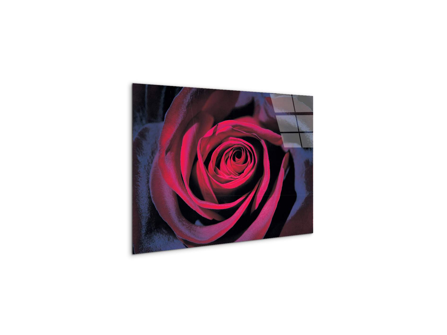 purple-roseec22106-#materiale_CrystalArt/dimensioni_50x33,33