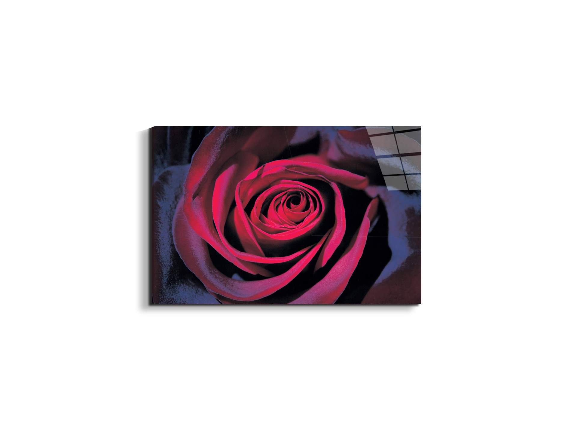 purple-roseec22106-#materiale_EarthArt Total Gloss/dimensioni_50x33,33