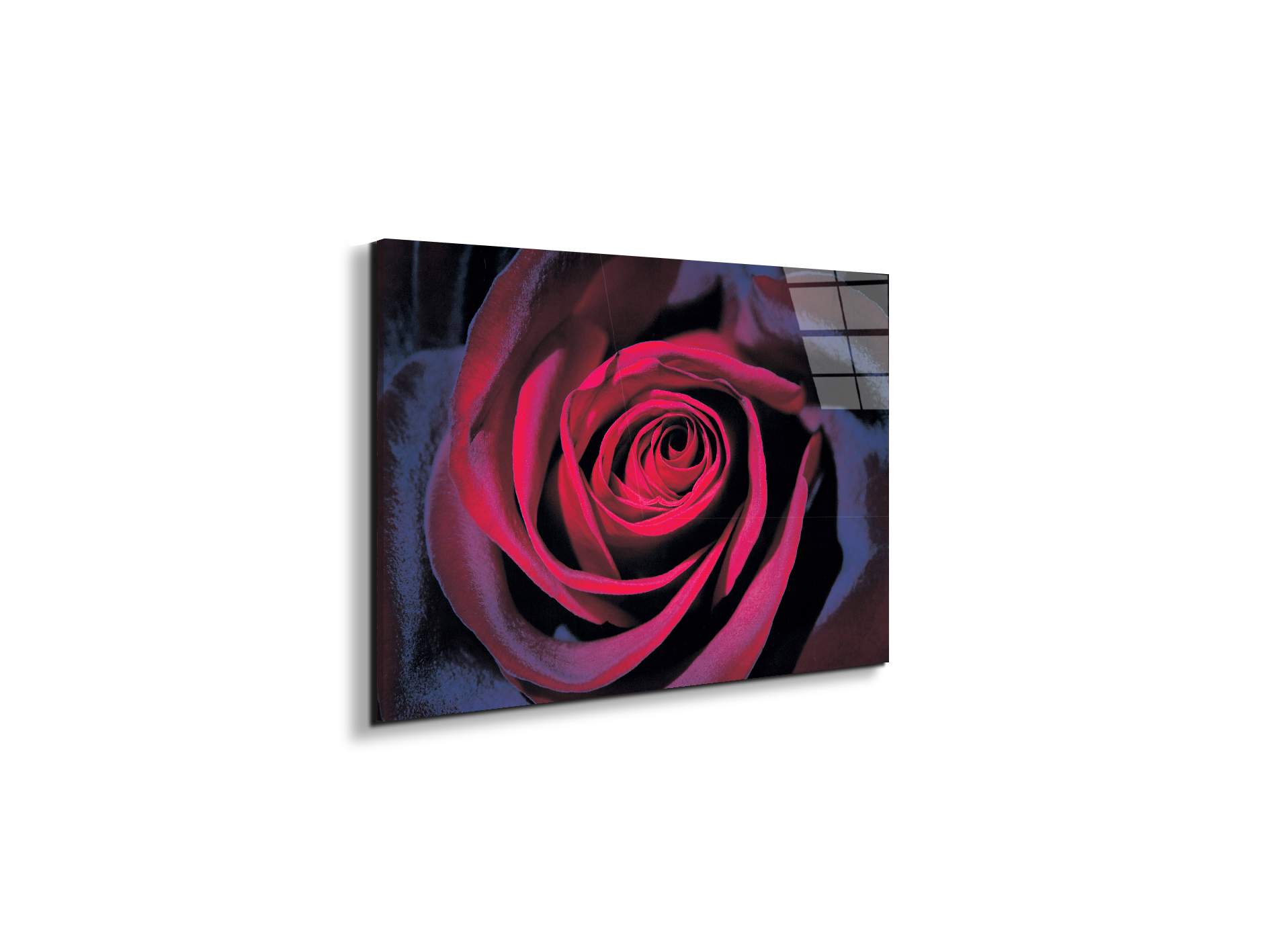 purple-roseec22106-#materiale_EarthArt Total Gloss/dimensioni_50x33,33