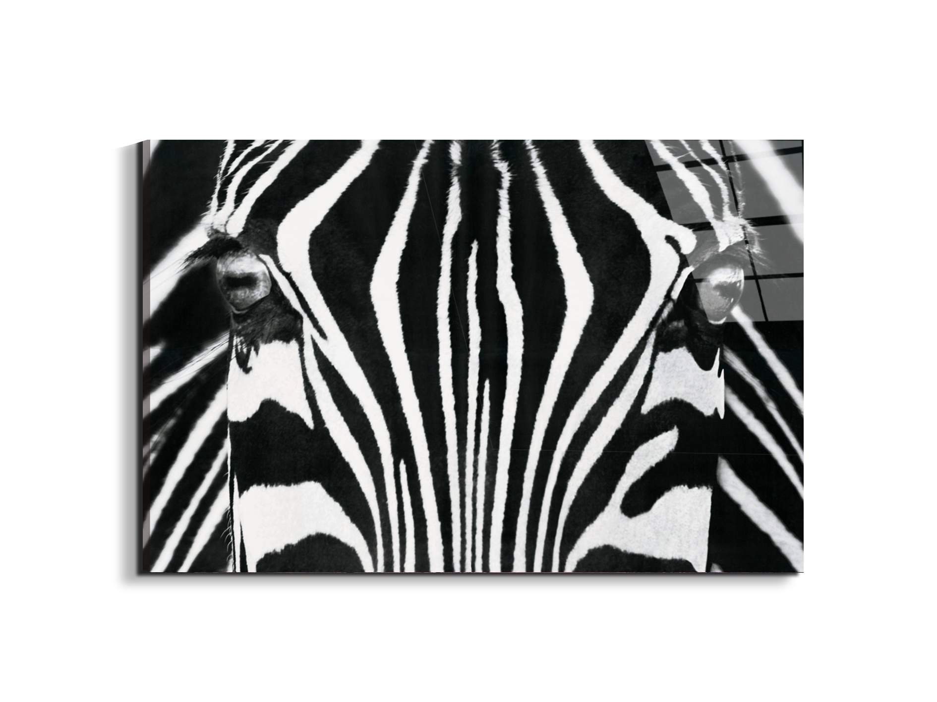 zebraec22171-