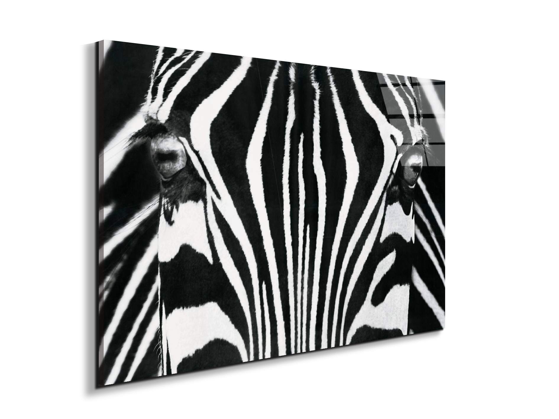 zebraec22171-