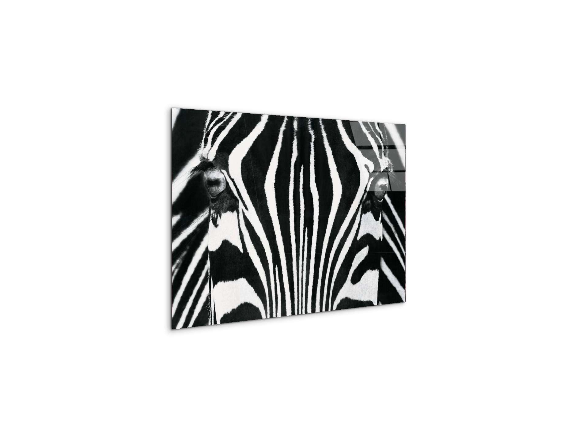 zebraec22171-