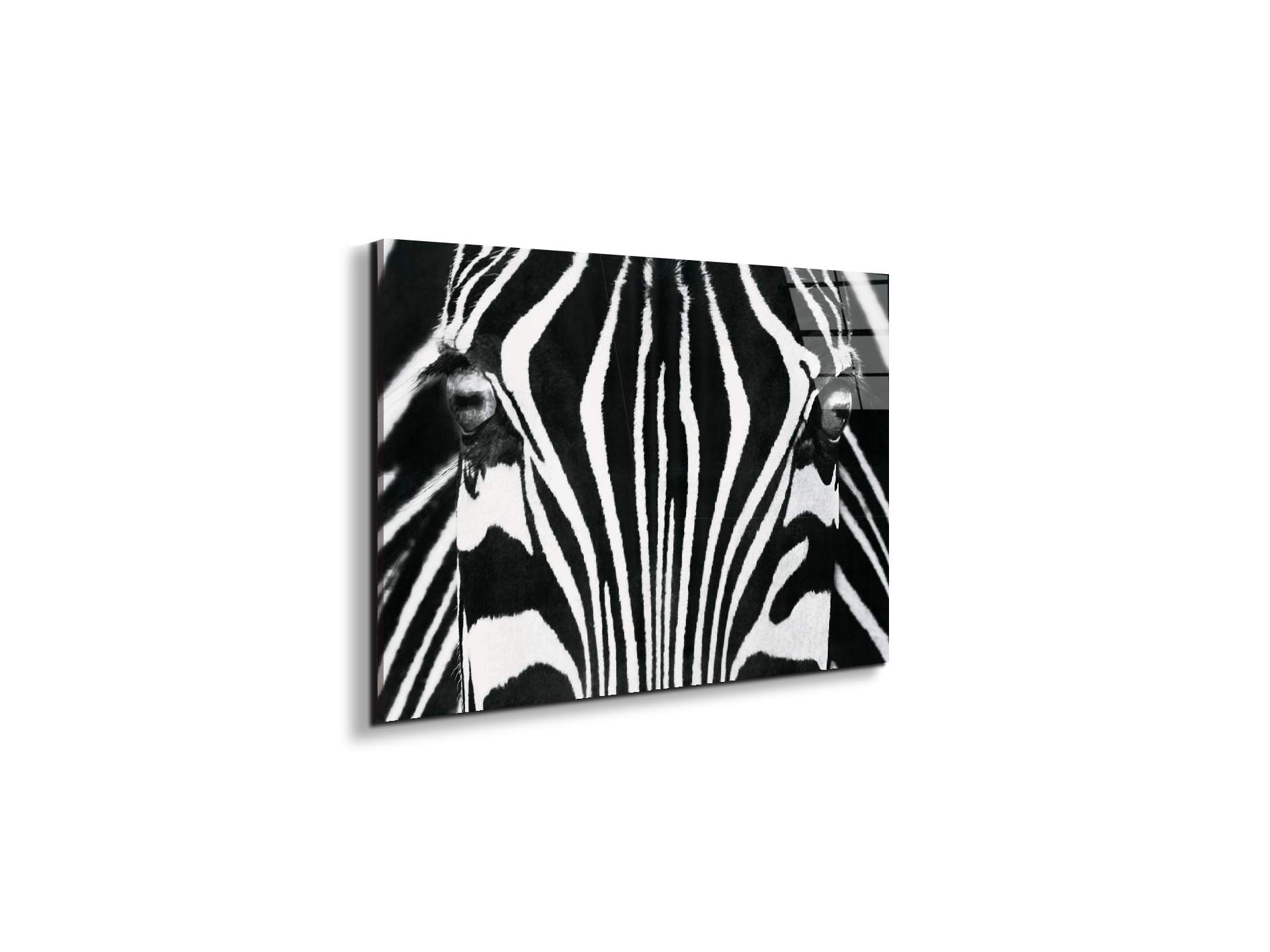 zebraec22171-