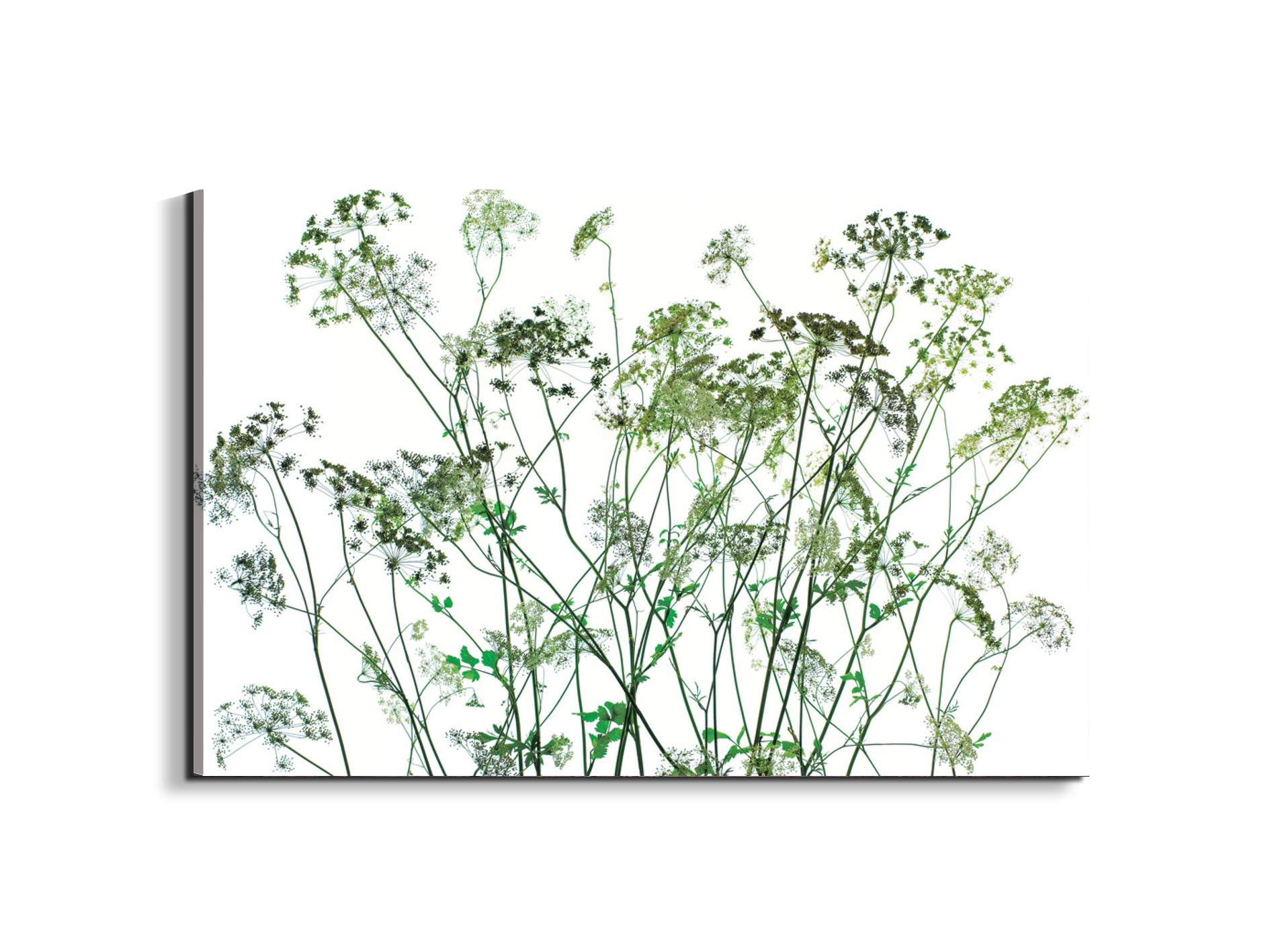weedsec22173-#materiale_EarthArt/dimensioni_79,5x53