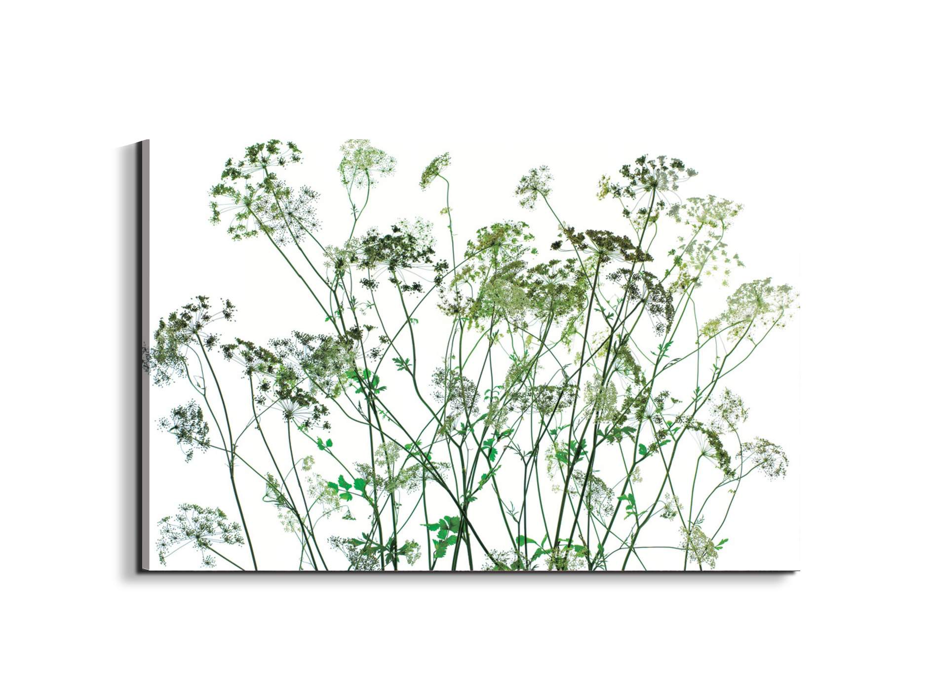 weedsec22173-#materiale_EarthArt Total Gloss/dimensioni_79,5x53