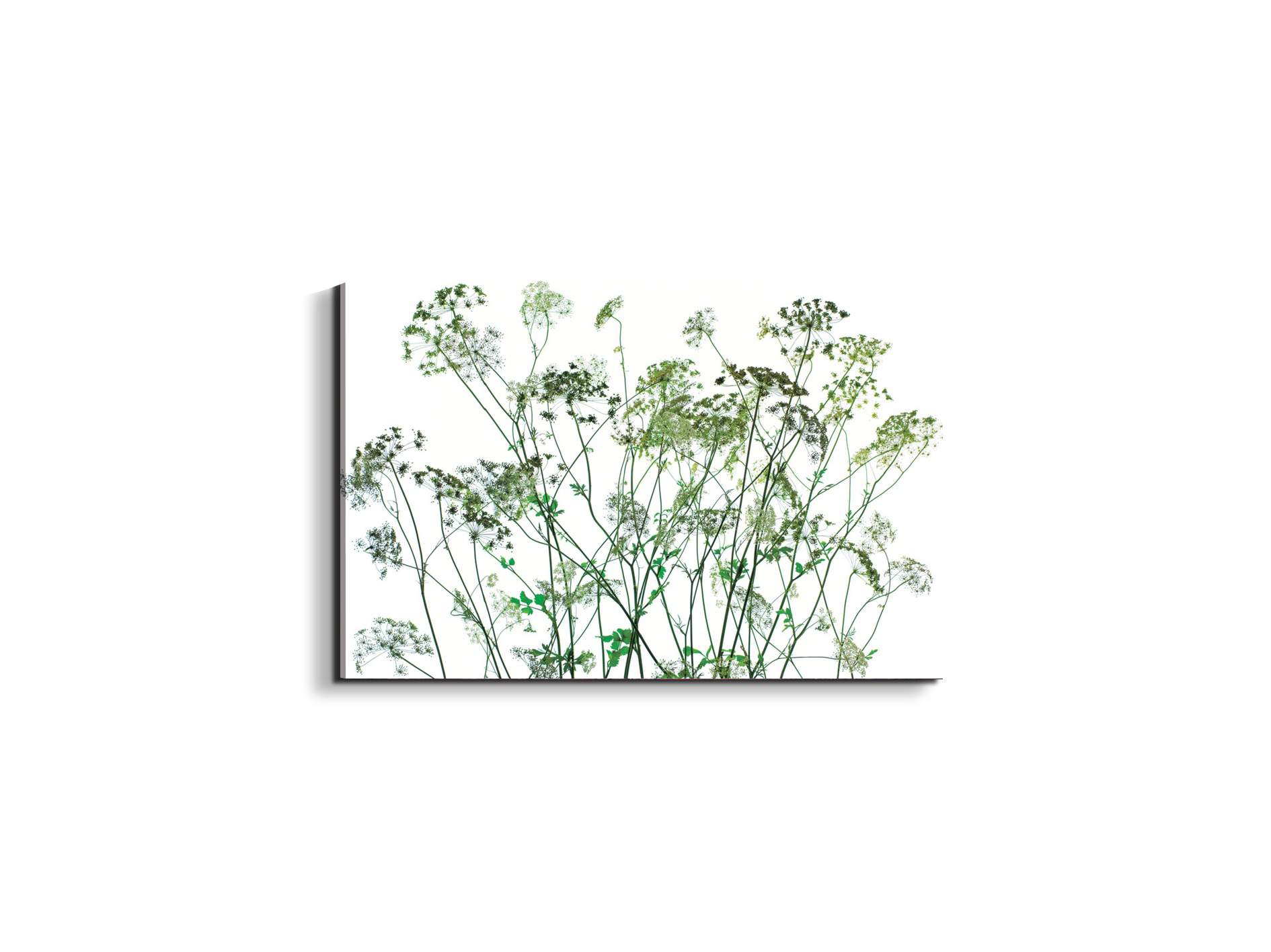weedsec22173-#materiale_EarthArt/dimensioni_50x33,33