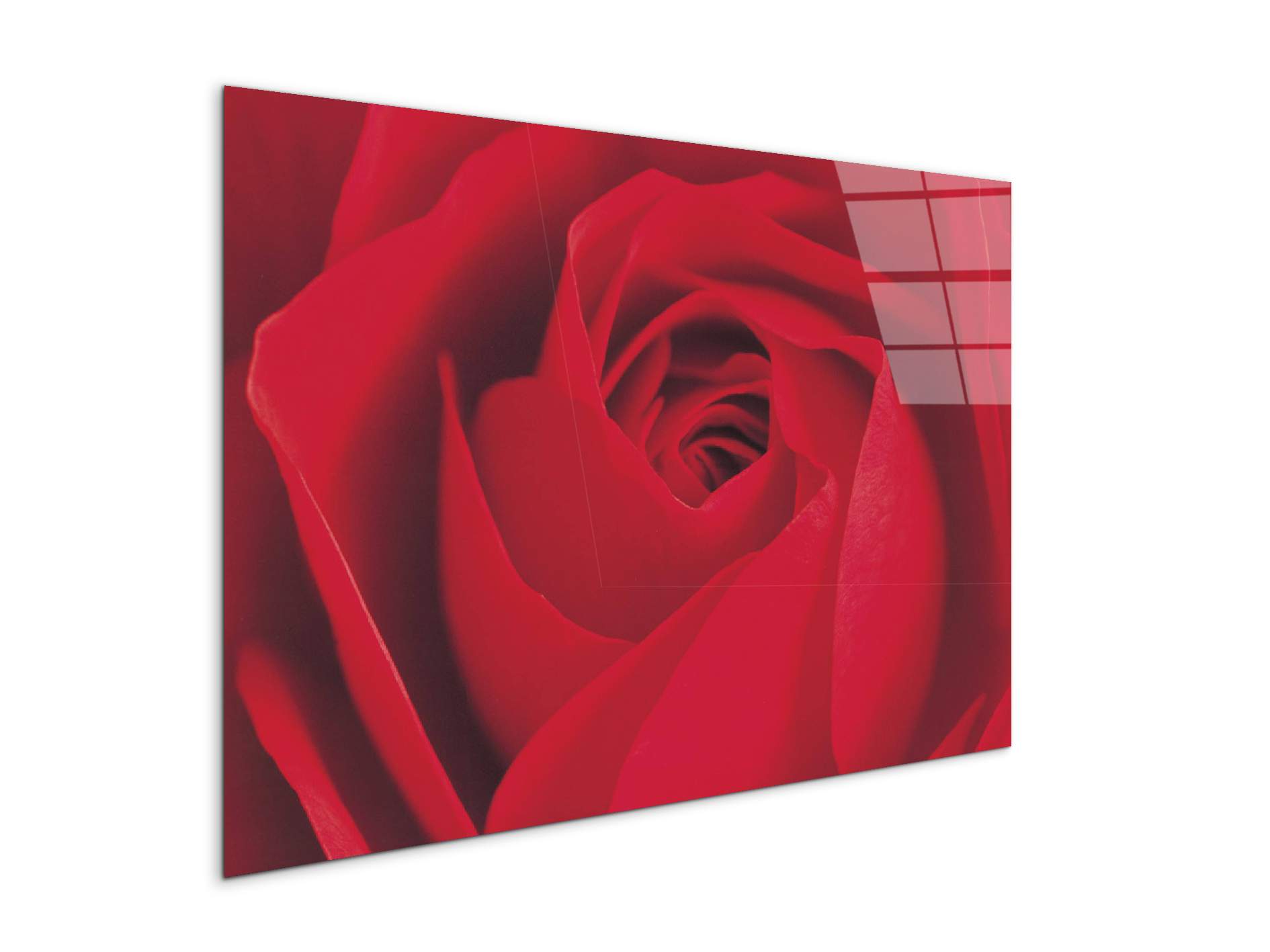 red-rose-detailec22176-#materiale_CrystalArt/dimensioni_79,5x53