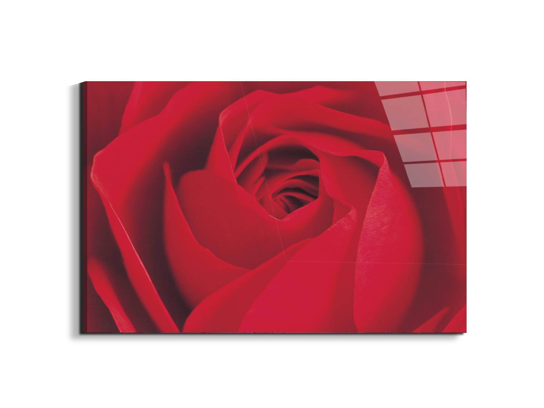 red-rose-detailec22176-#materiale_EarthArt Total Gloss/dimensioni_79,5x53