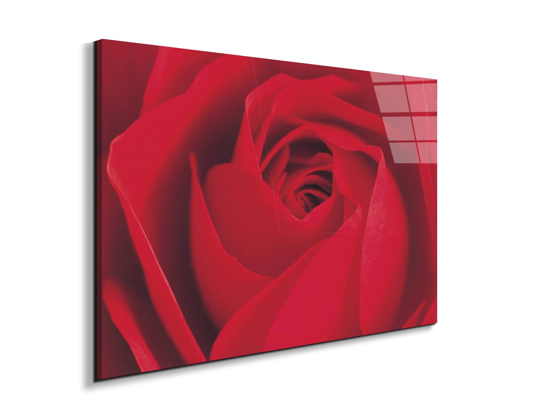 red-rose-detailec22176-#materiale_EarthArt Total Gloss/dimensioni_79,5x53