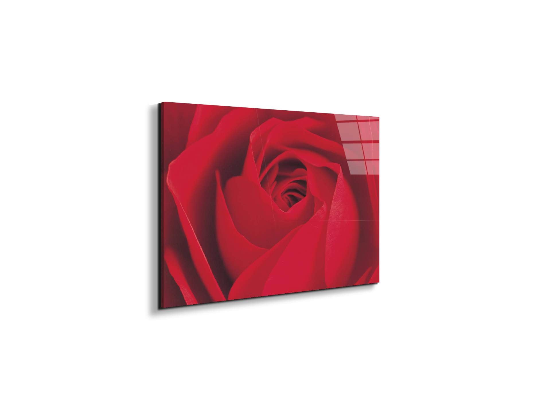 red-rose-detailec22176-#materiale_EarthArt Total Gloss/dimensioni_50x33,33