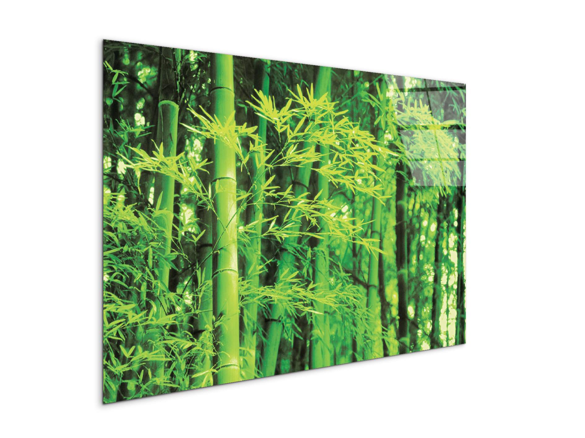 bambooec22182-#materiale_CrystalArt/dimensioni_79,5x53
