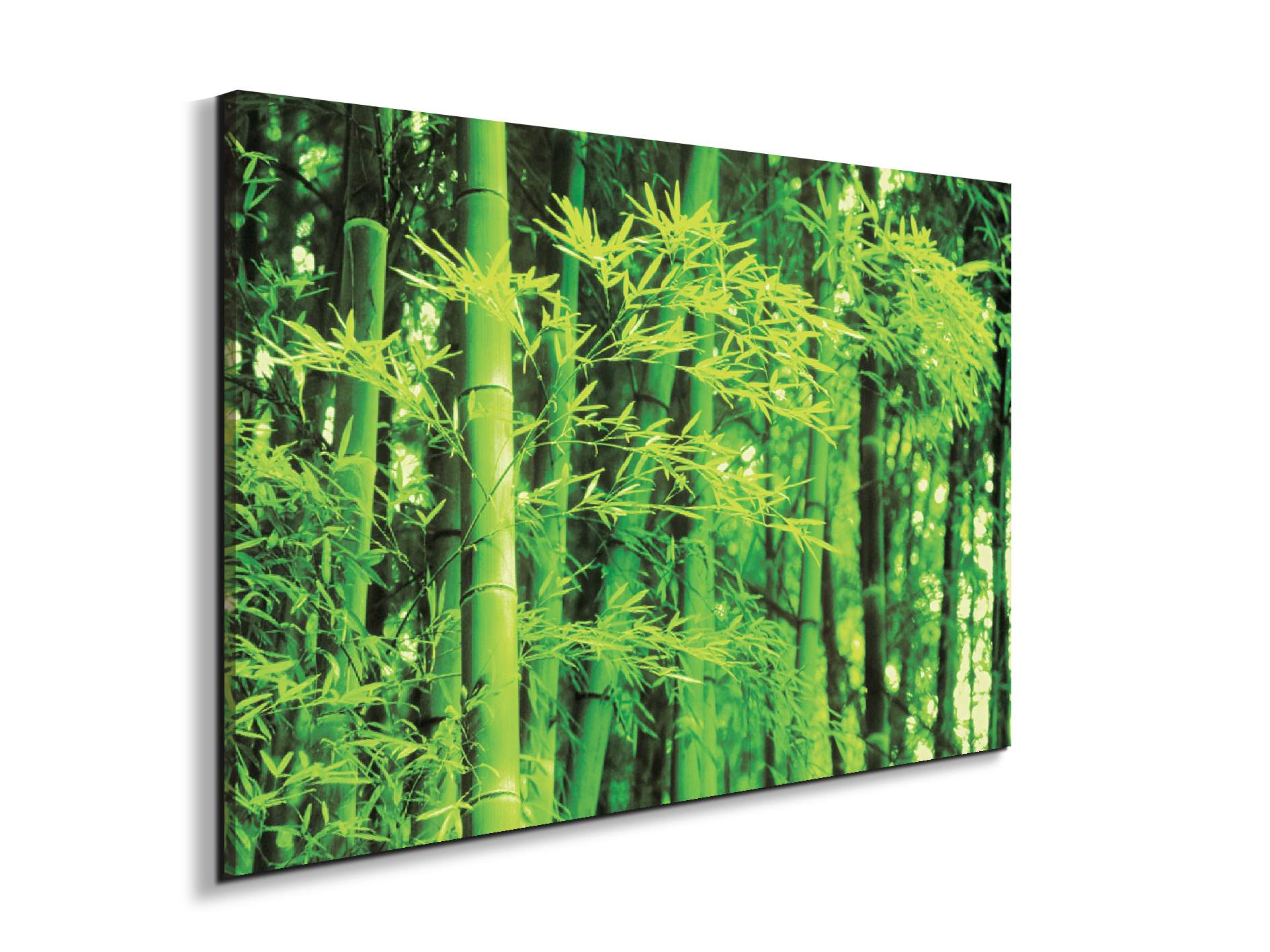 bambooec22182-#materiale_EarthArt/dimensioni_79,5x53
