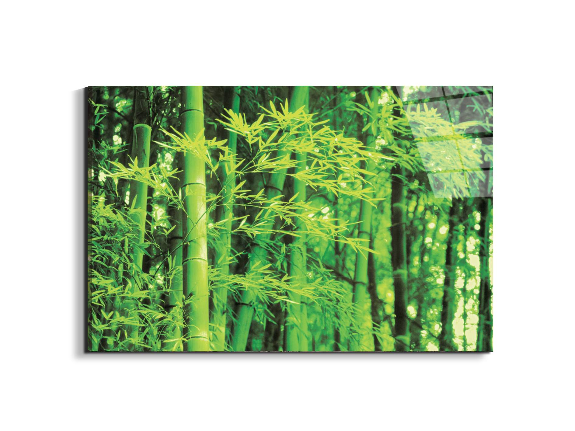 bambooec22182-#materiale_EarthArt Total Gloss/dimensioni_79,5x53