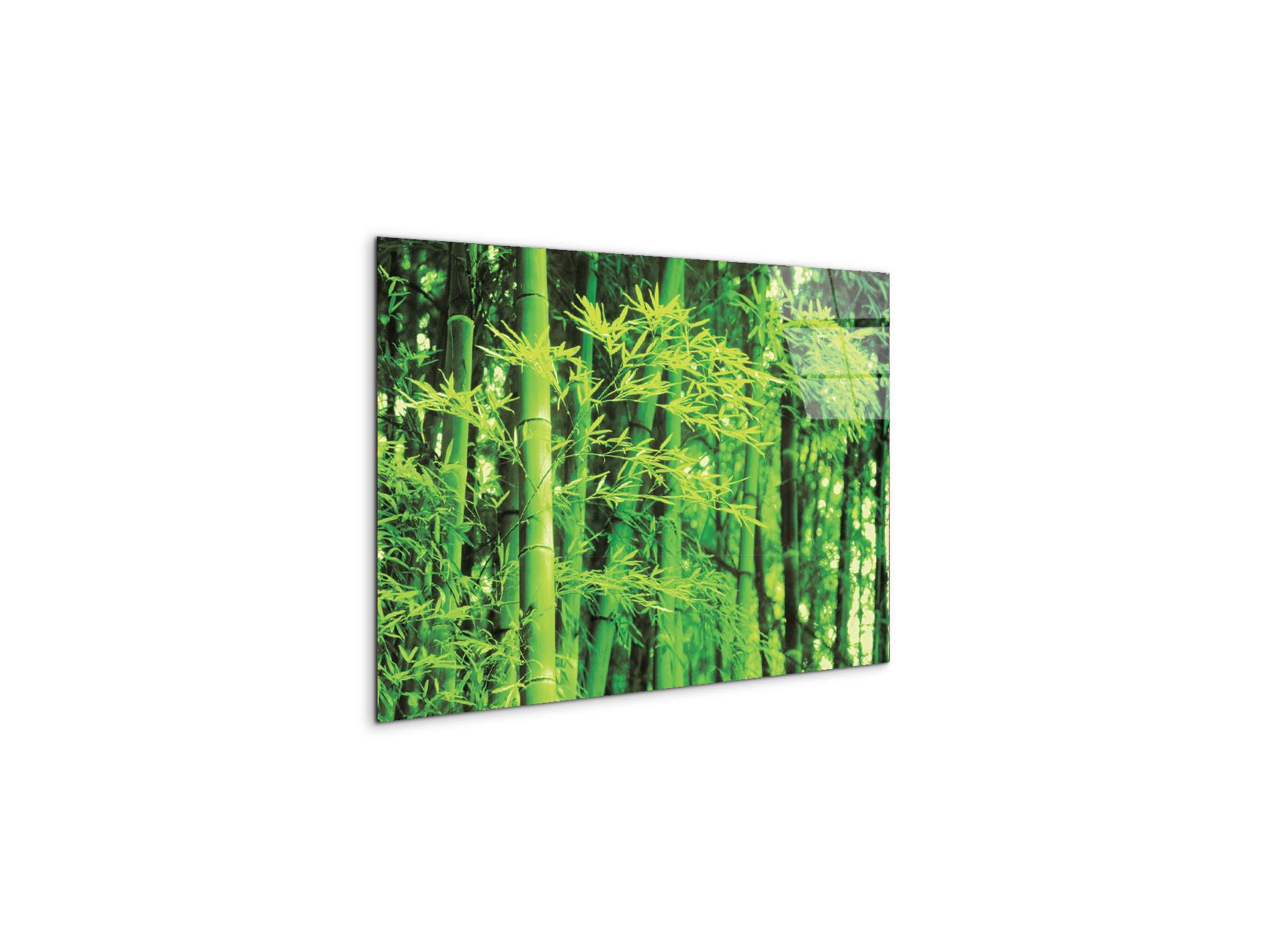 bambooec22182-#materiale_CrystalArt/dimensioni_50x33,33