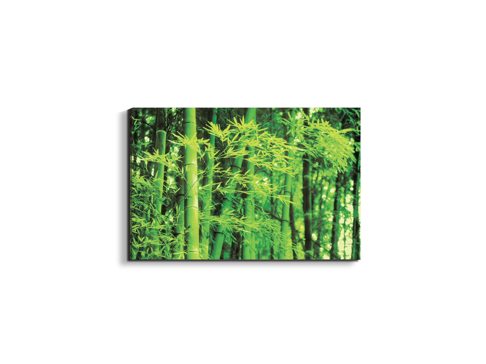 bambooec22182-#materiale_EarthArt/dimensioni_50x33,33