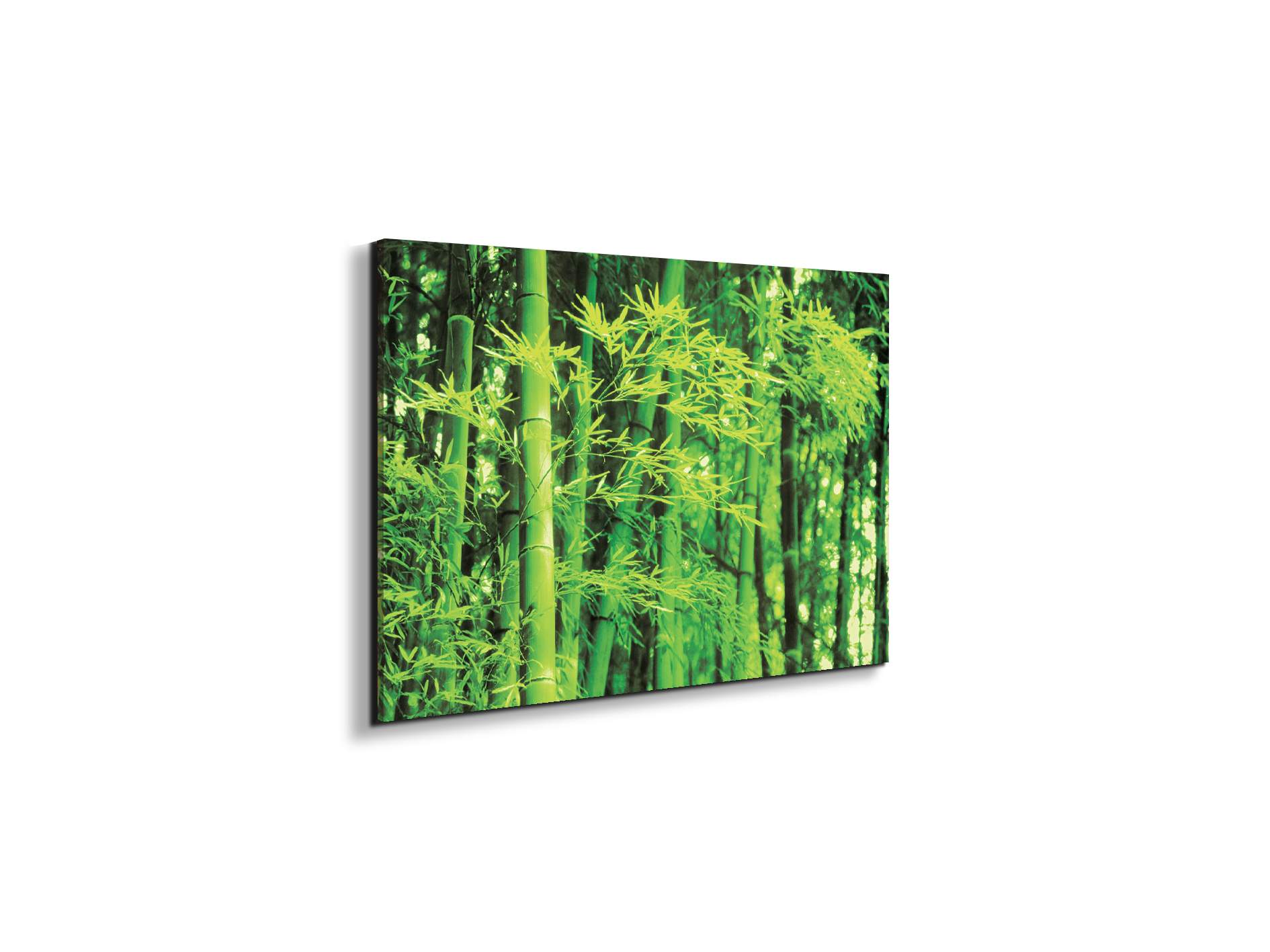bambooec22182-#materiale_EarthArt/dimensioni_50x33,33