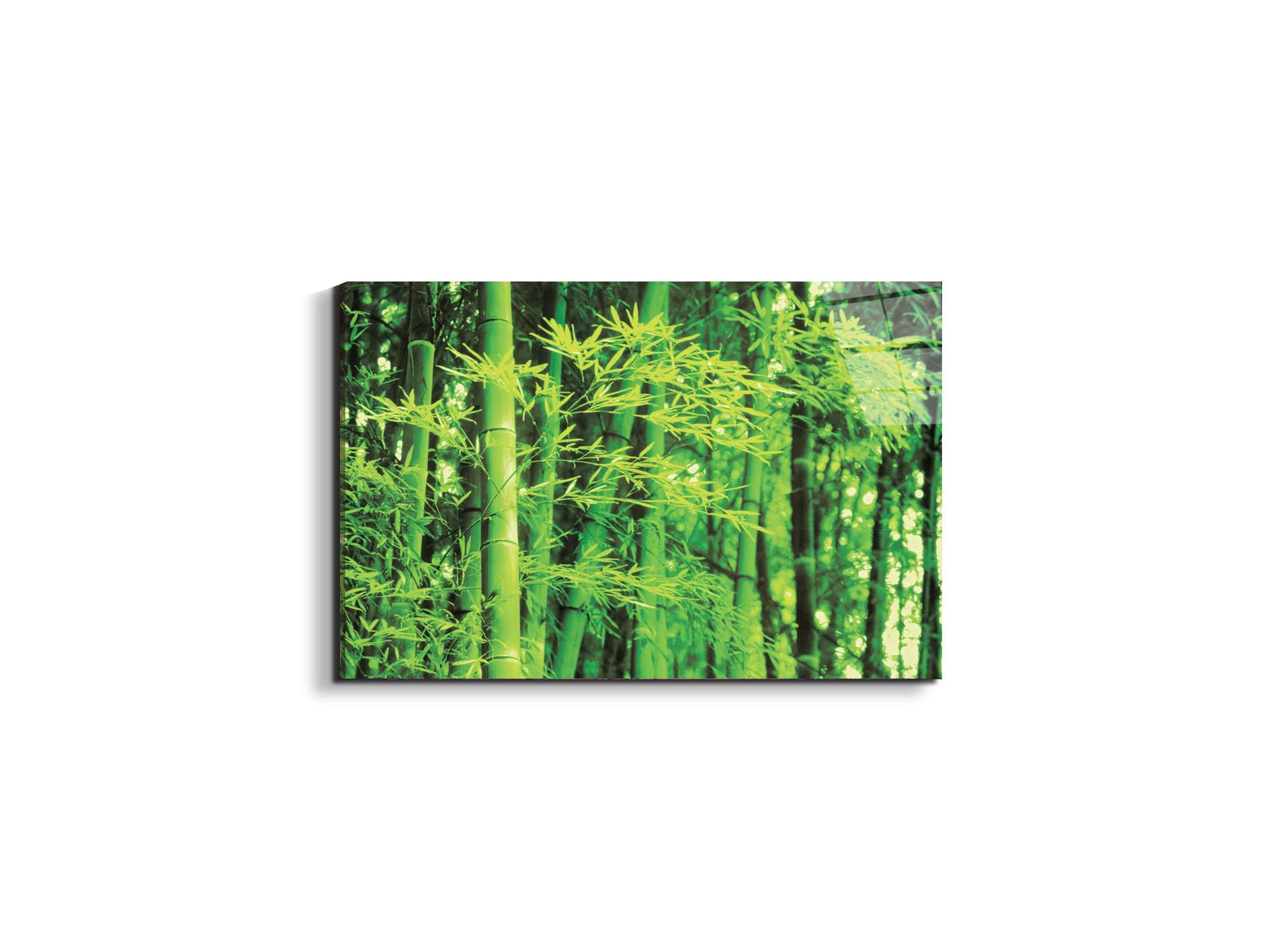 bambooec22182-#materiale_EarthArt Total Gloss/dimensioni_50x33,33