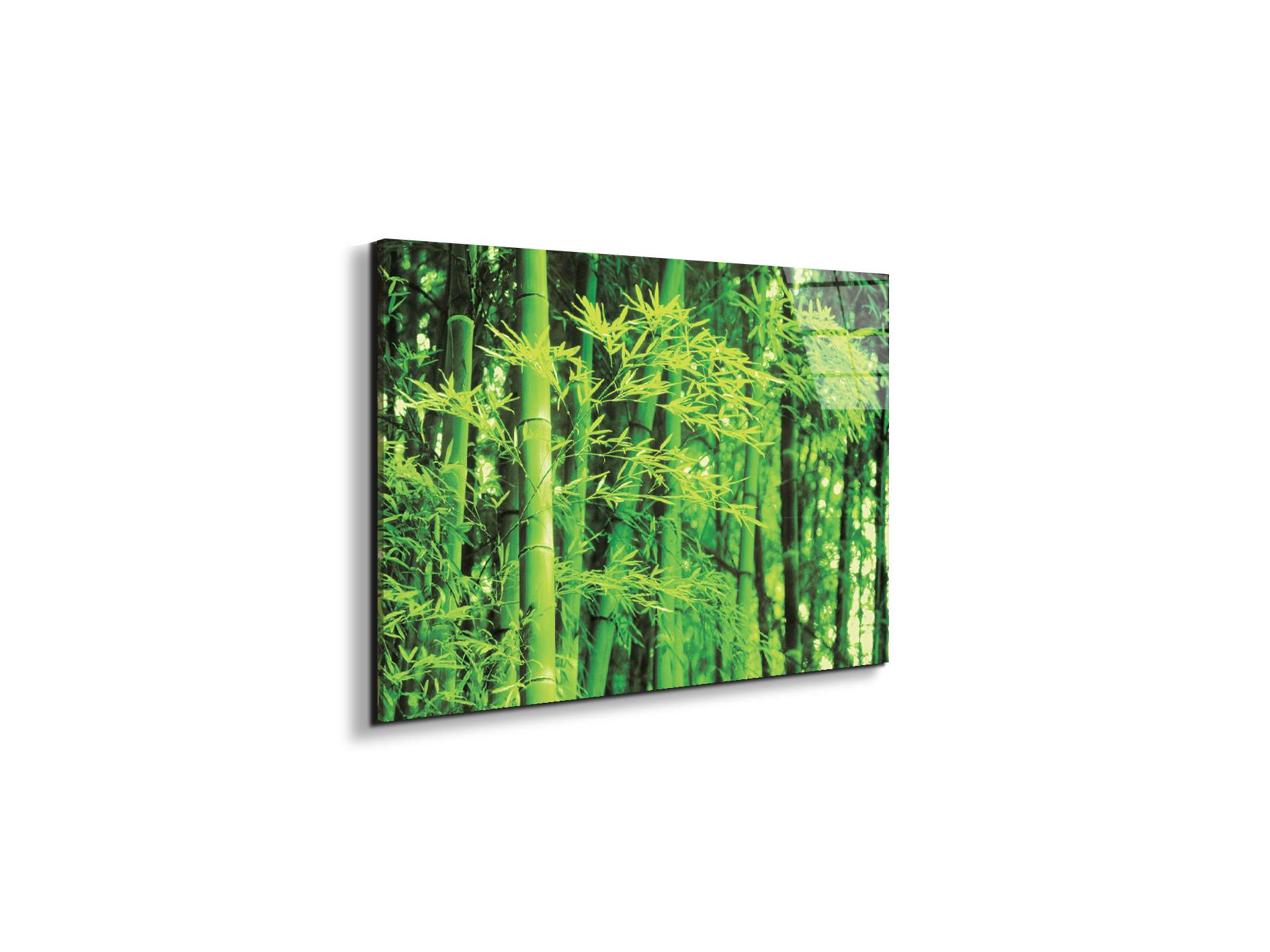 bambooec22182-#materiale_EarthArt Total Gloss/dimensioni_50x33,33