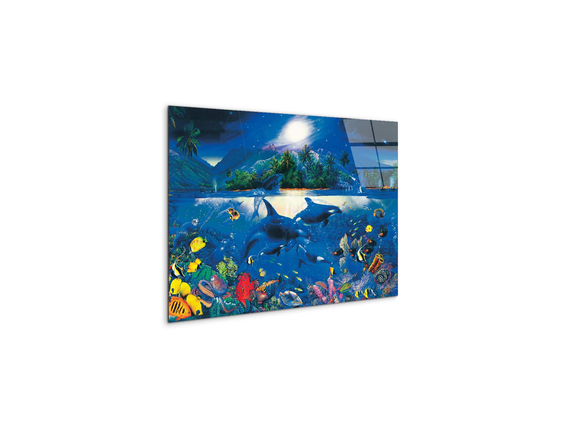 magic-kingdomec22192-#materiale_CrystalArt/dimensioni_50x33,33