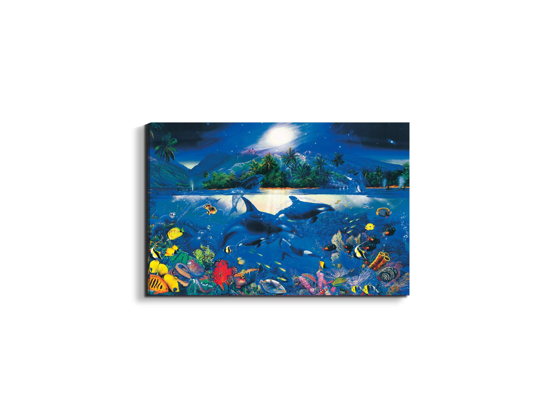 magic-kingdomec22192-#materiale_EarthArt Materic/dimensioni_50x33,33
